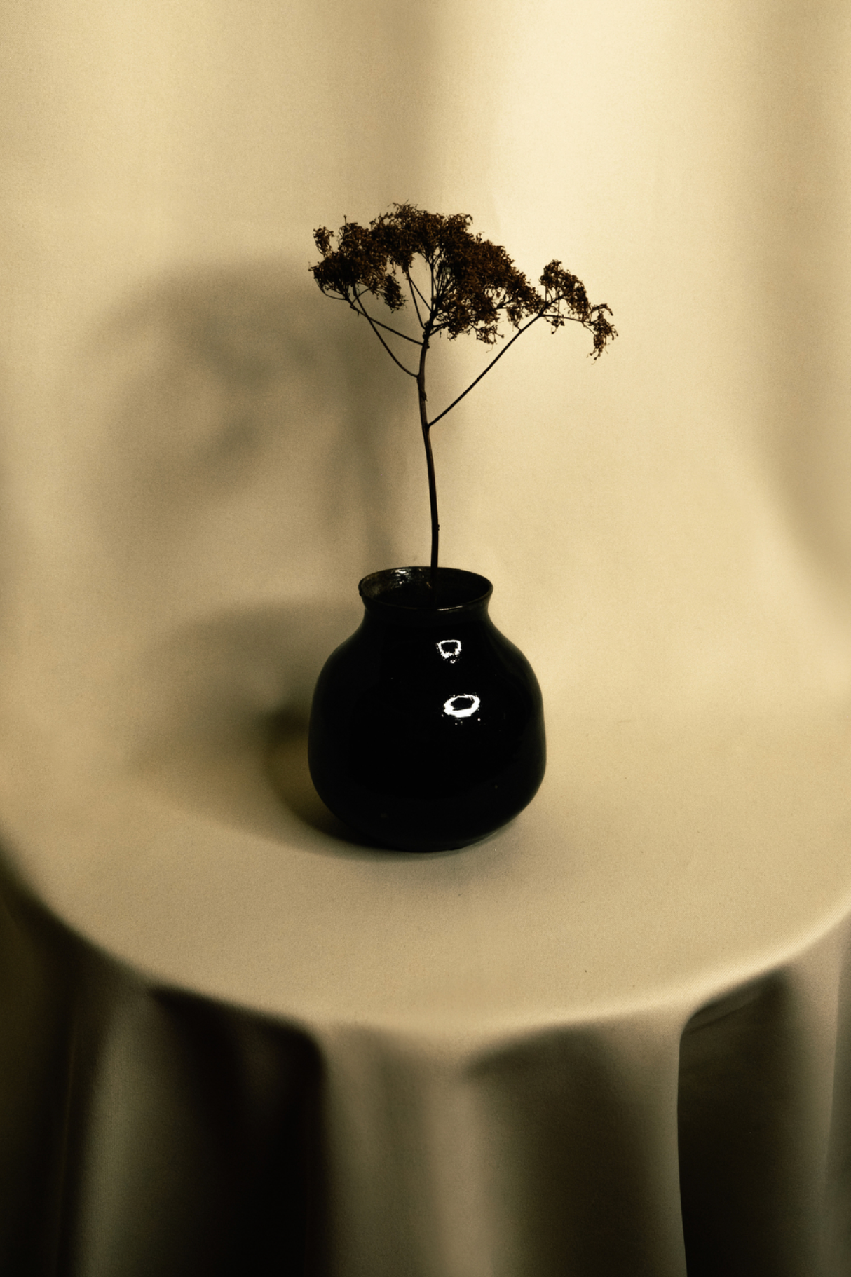 Художественный фотограф Екатерина Серова