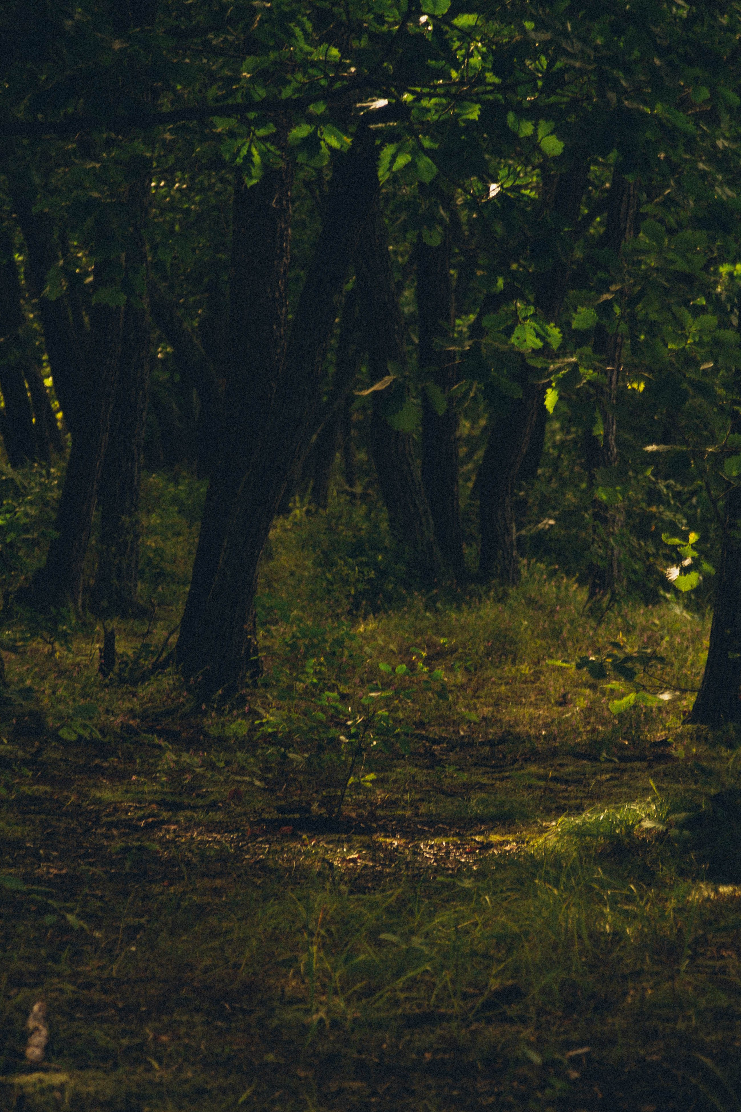 Контакты. Darinishna Фэнтези-фотограф Хабаровск