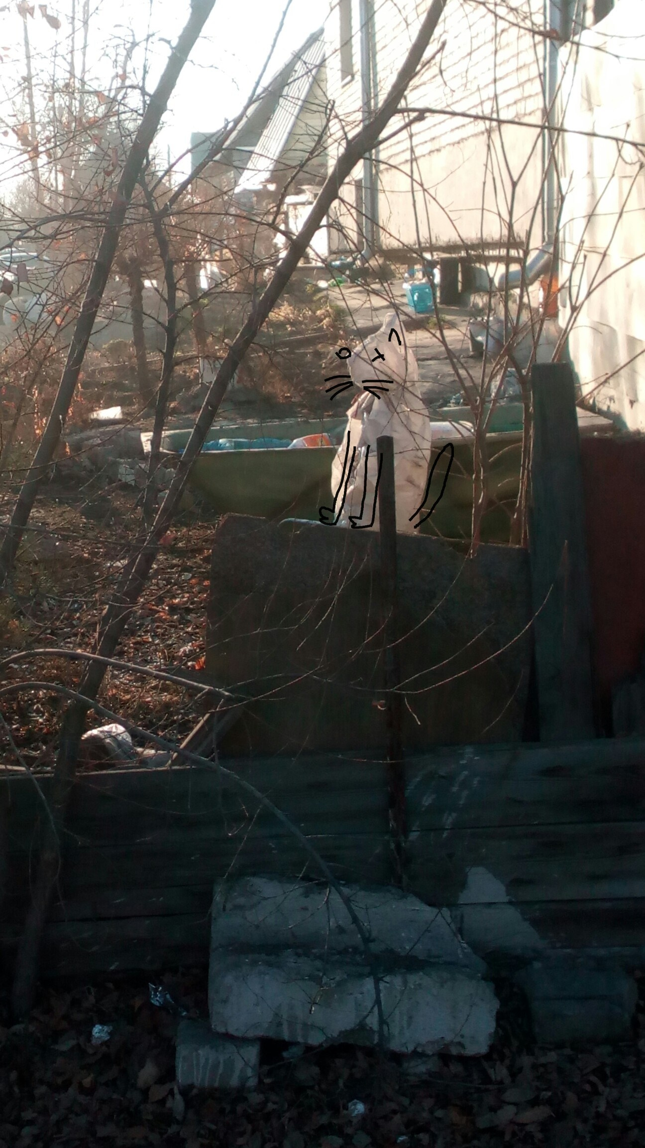 Дорисованнаяреальность. Художник Рыбак Николай