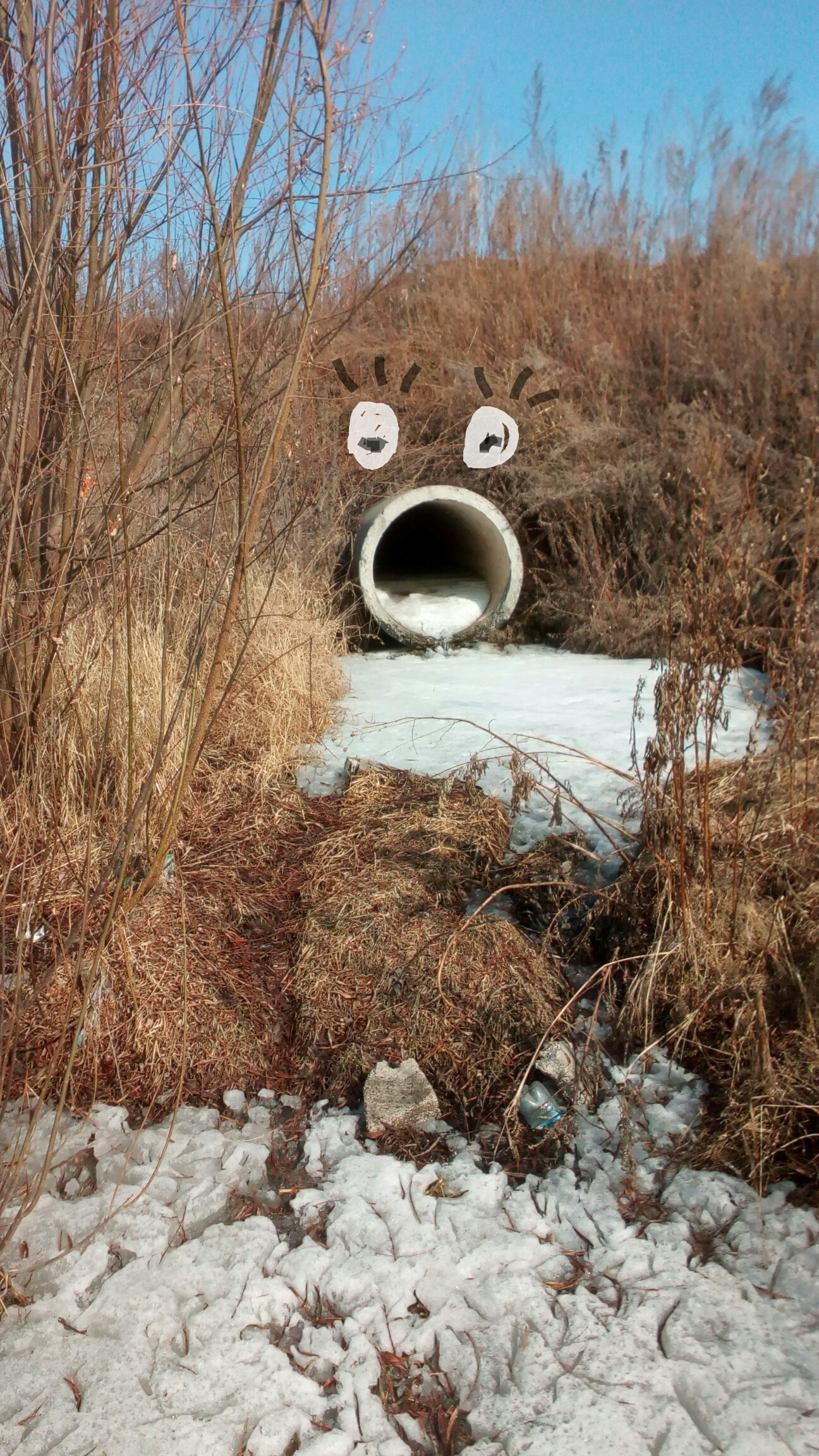 Дорисованнаяреальность. Художник Рыбак Николай