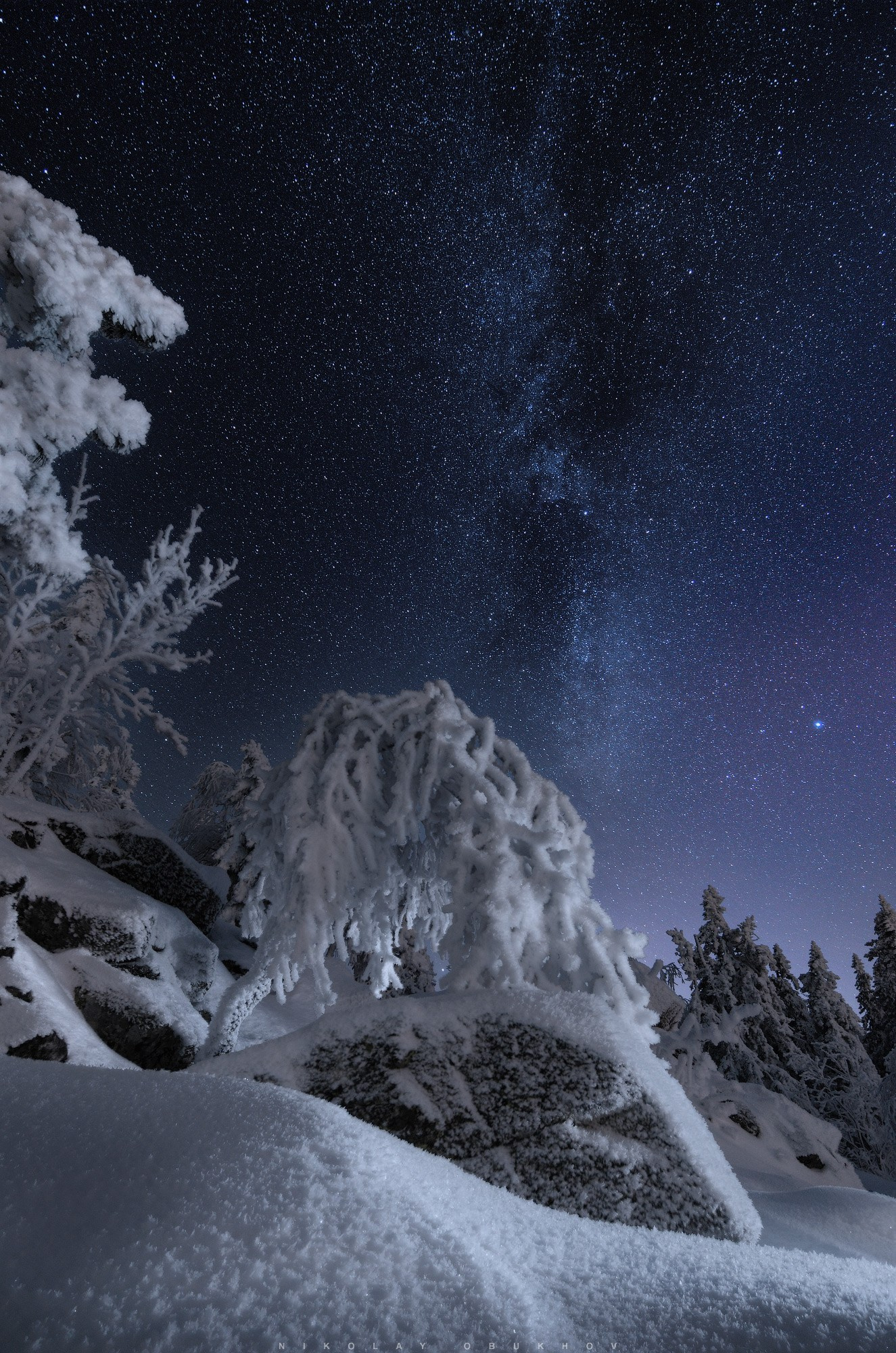 Пример съемки ночного леса со звездами зимой. Автор: Николай Обухов.