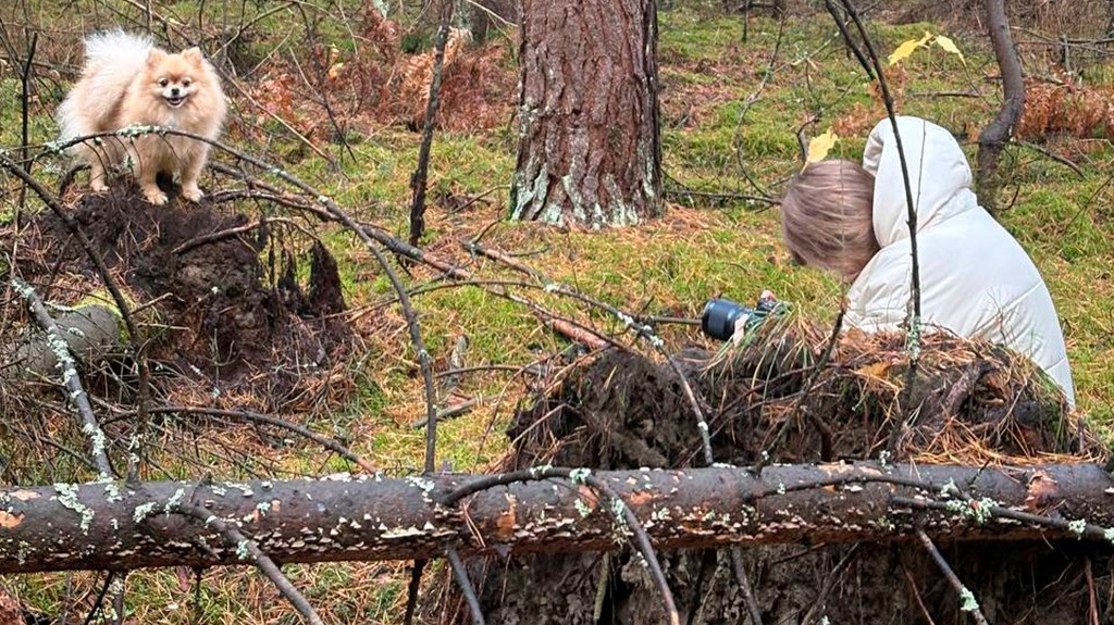 Контакты. Фотограф — анималист RISHELL PHOTO