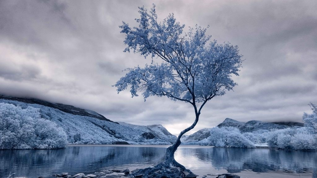 Инфракрасная модификация. AThumbnails