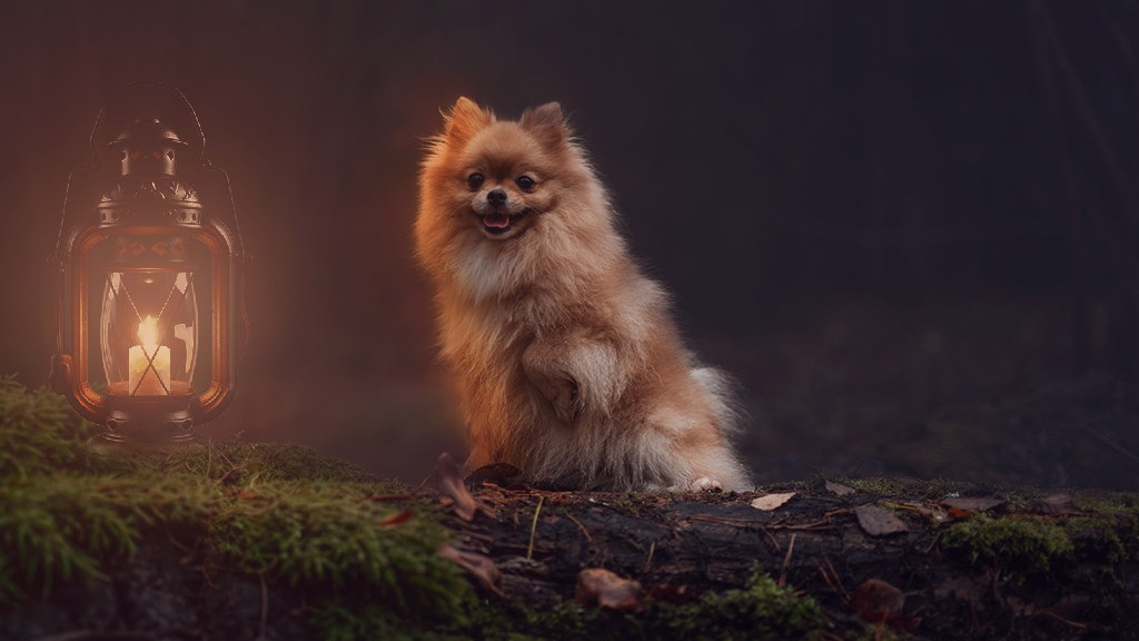 Фотосессия Мишель 