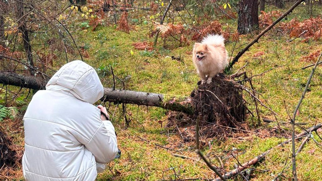 Контакты. Фотограф — анималист RISHELL PHOTO