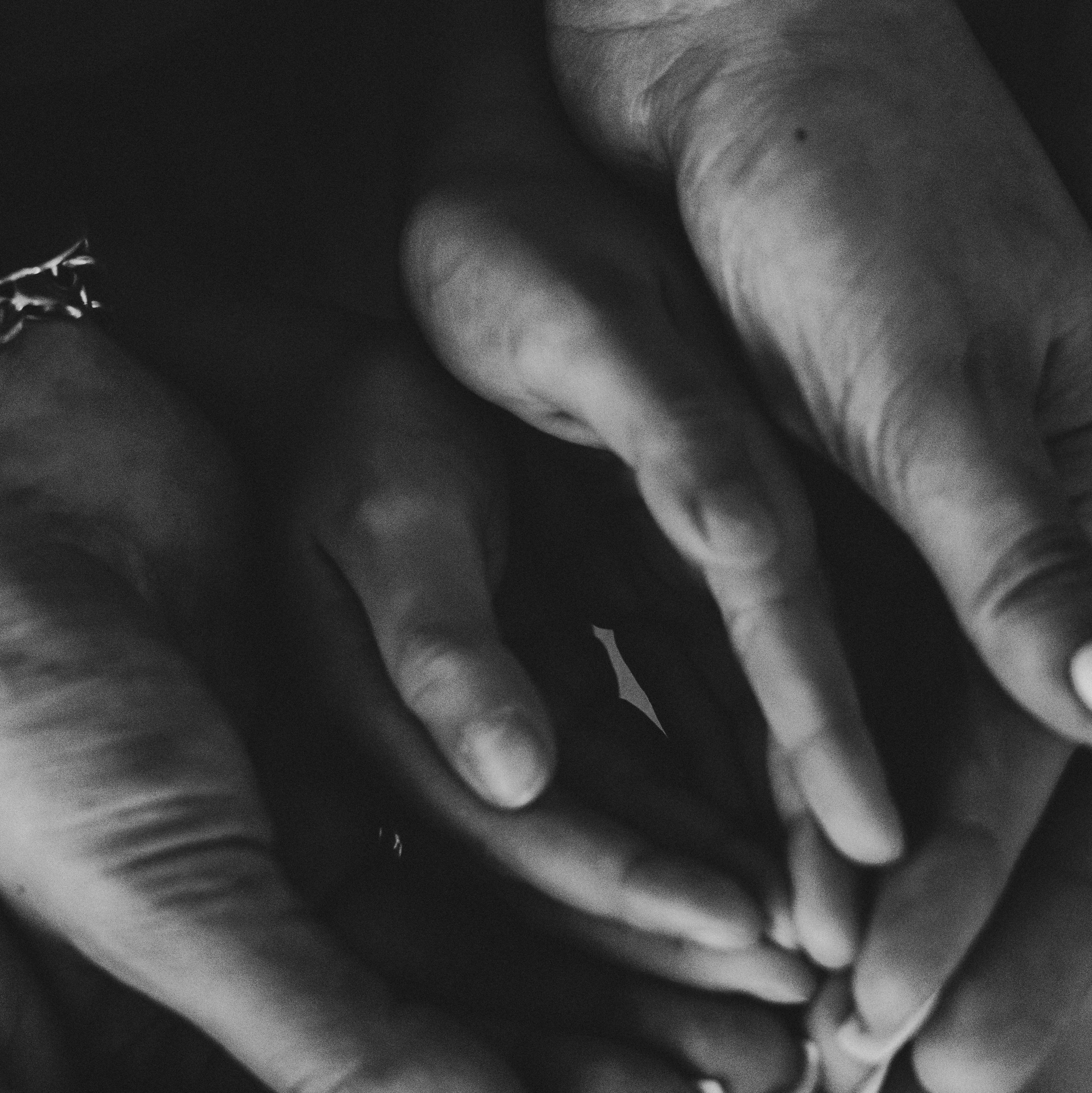 Фотограф в Москве Юлия Резвова