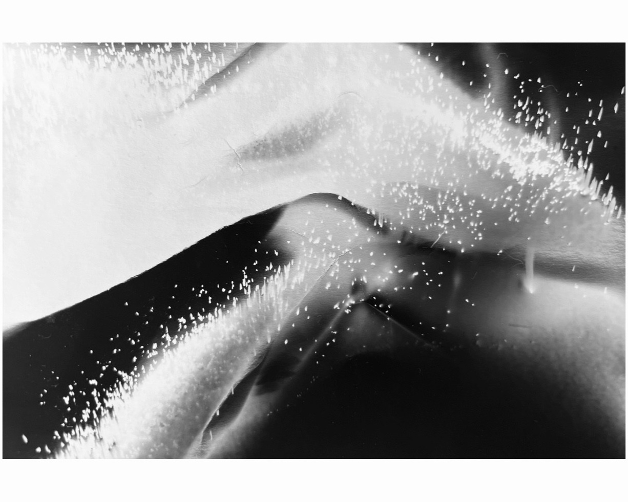 Круг жизни. Пылина Ирина — современная фотография