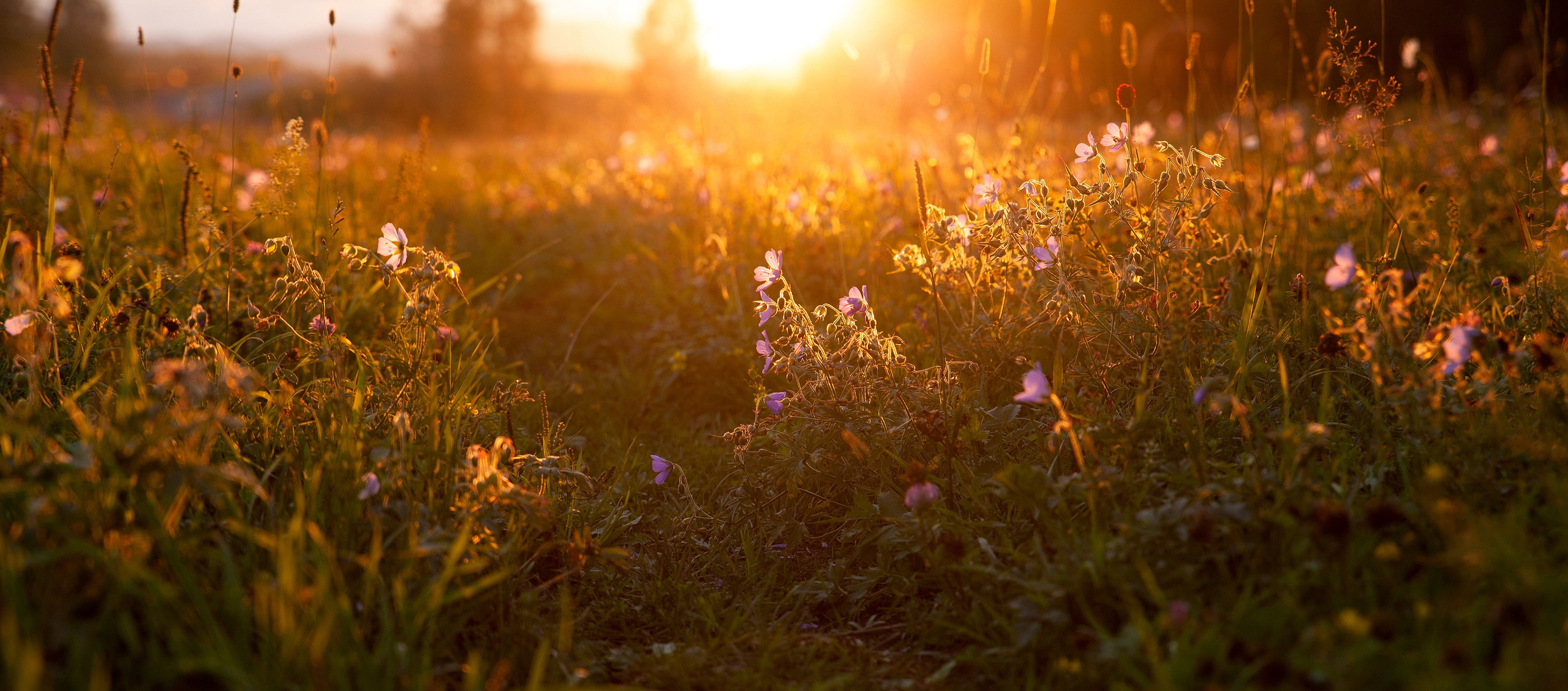 Фотокниги. Холсты. Печать