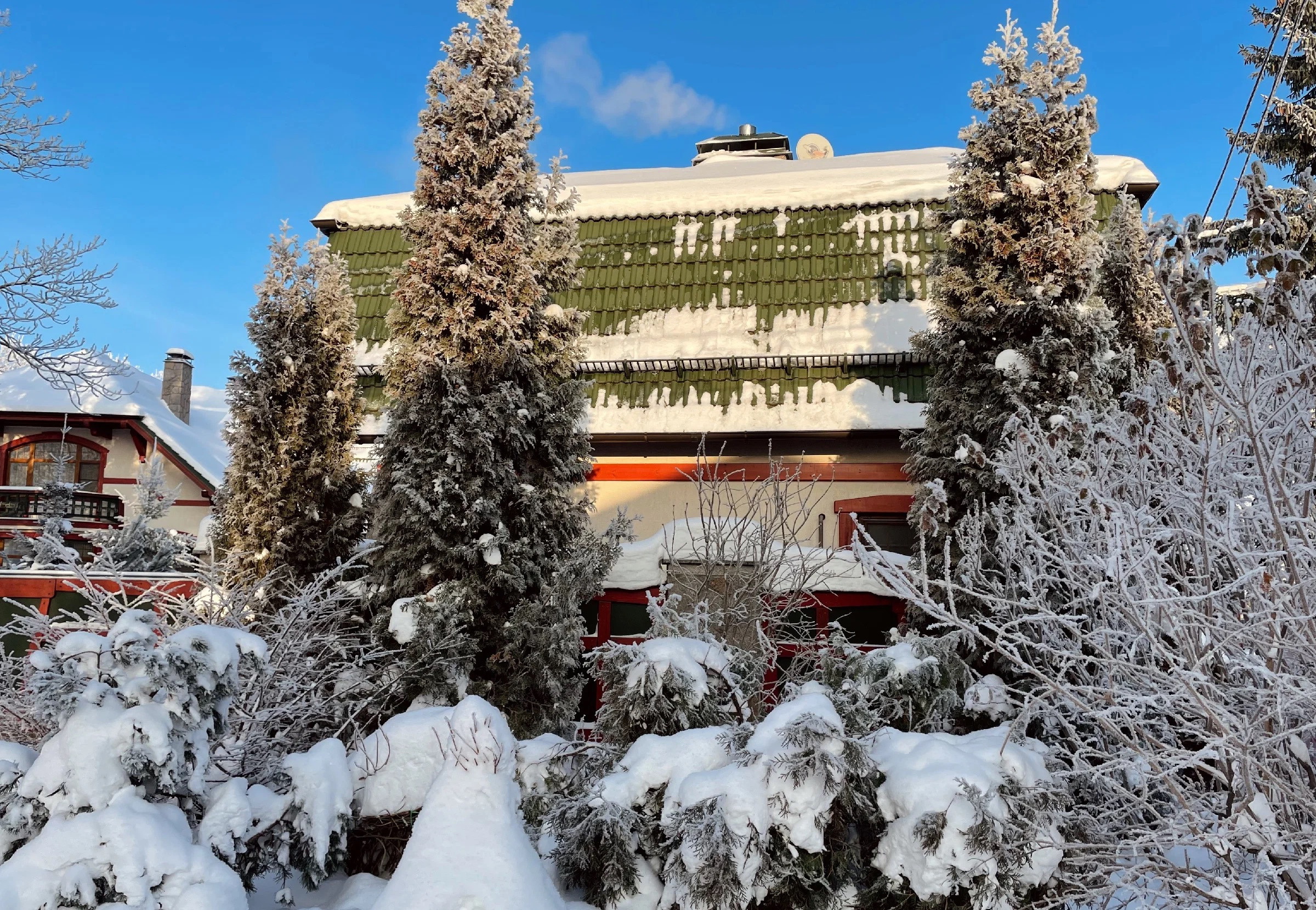 Снежная морозная фотопрогулка в преддверии Нового года. Проект «Фотокладовка»: блог уличной фотографии в формате street photo