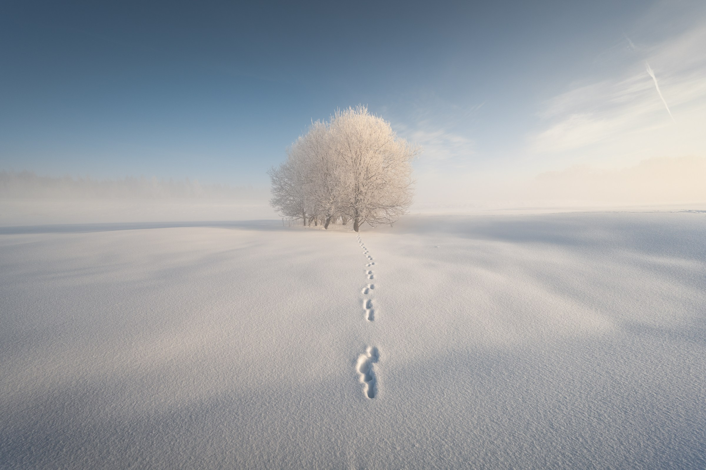 Portfolio Award 2026