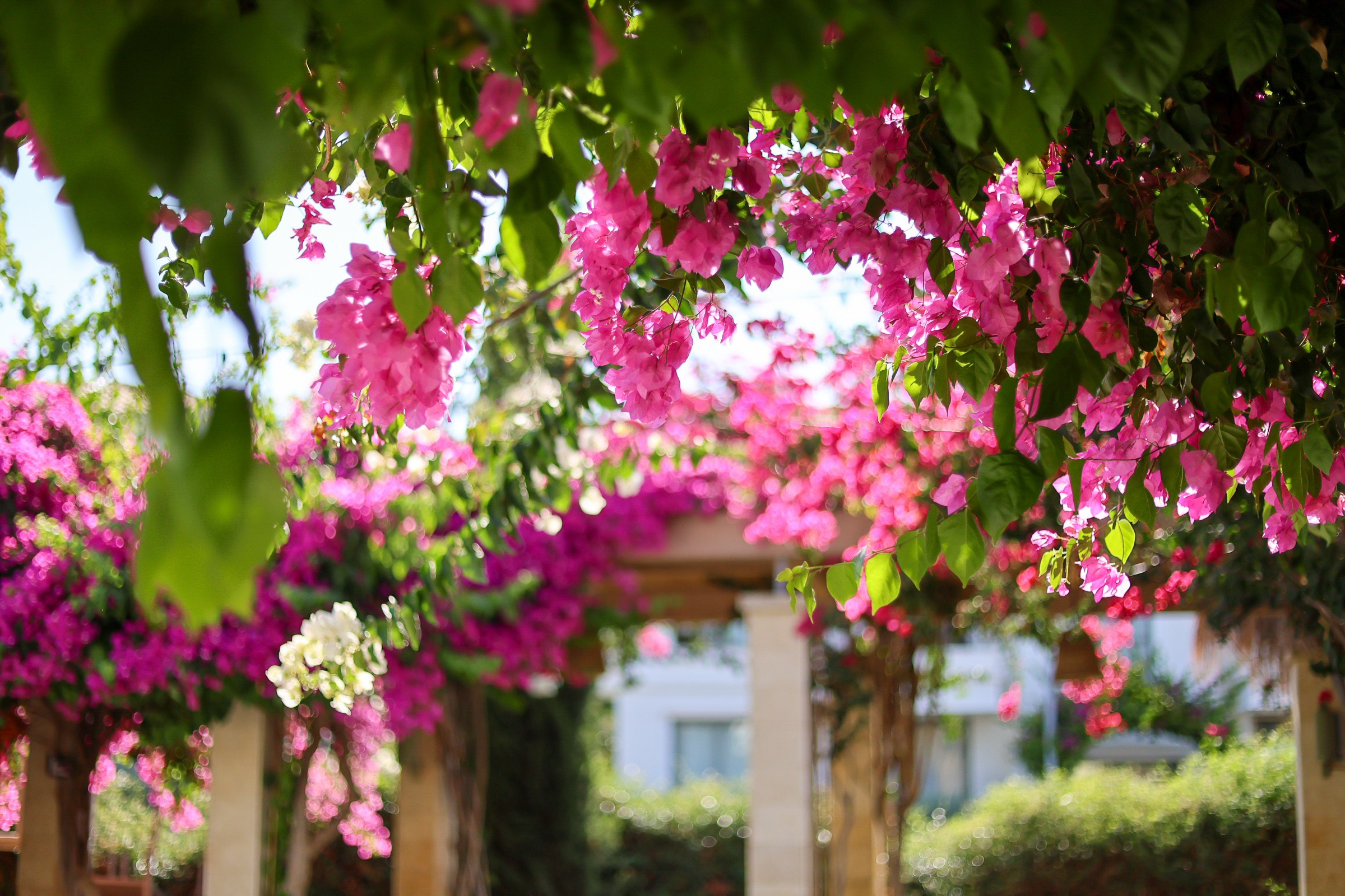 Контакты. Семейный фотограф Израиль