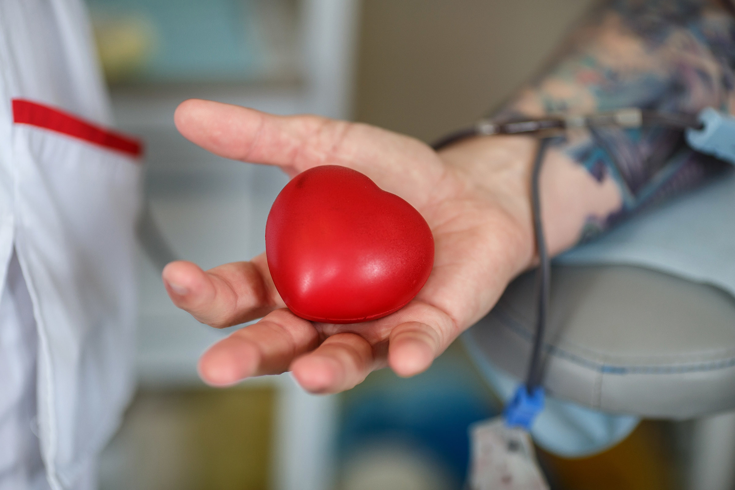 Репортаж. Профессиональный фотограф в Крыму и Севастополе Павел Корсун