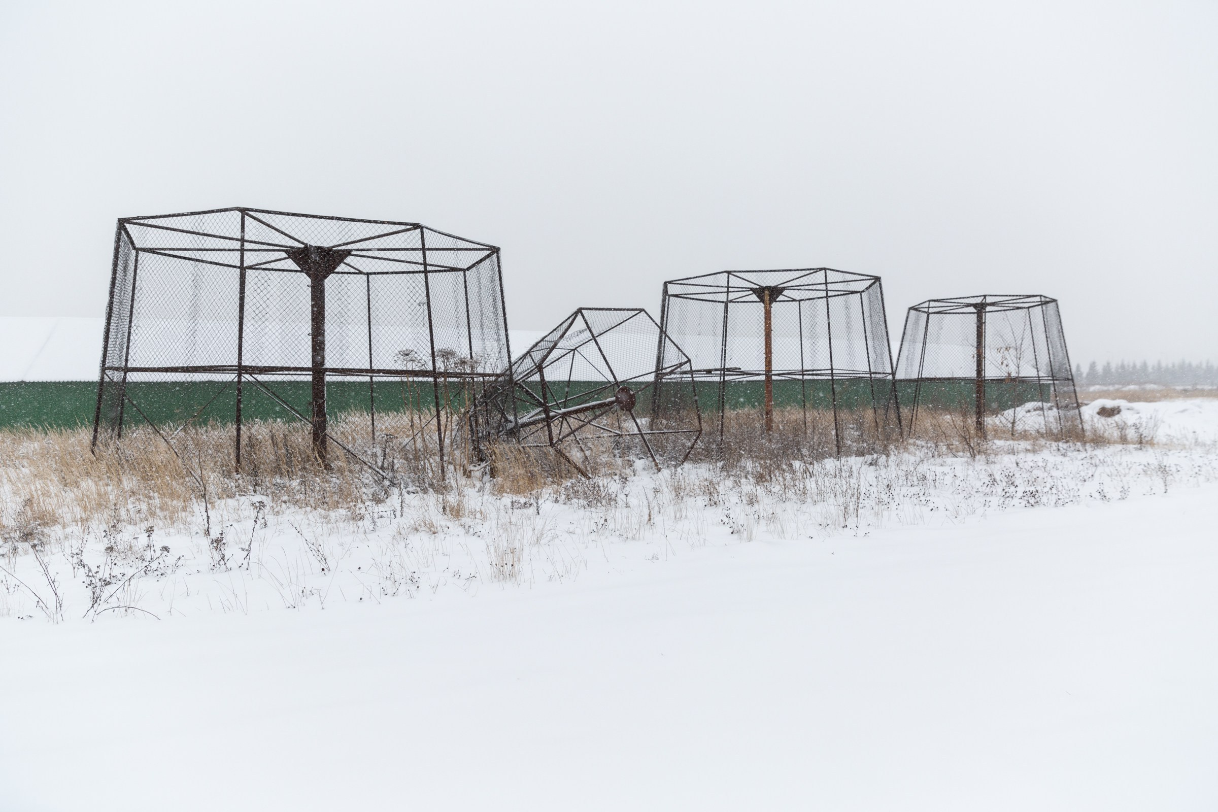 OLGA OLEYNIKOVA Пространство, люди, смыслы