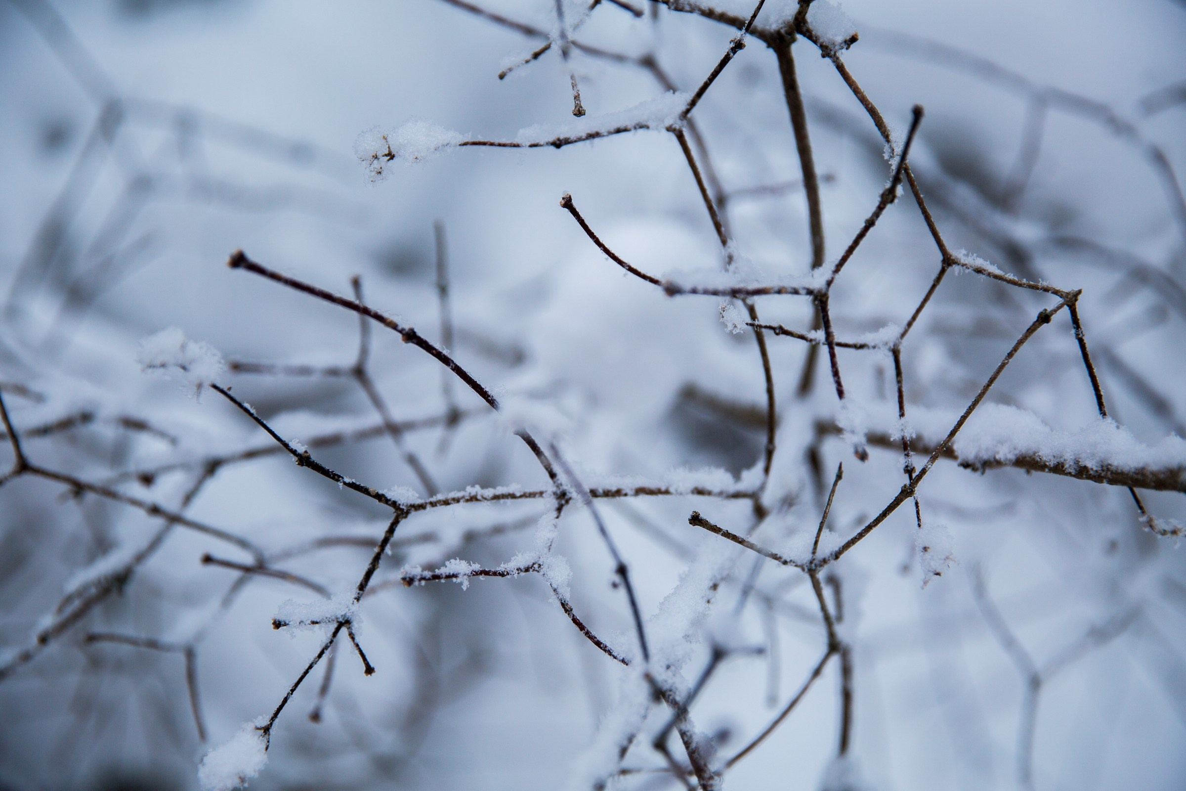 День 10 #адвенткалендарь. Главная