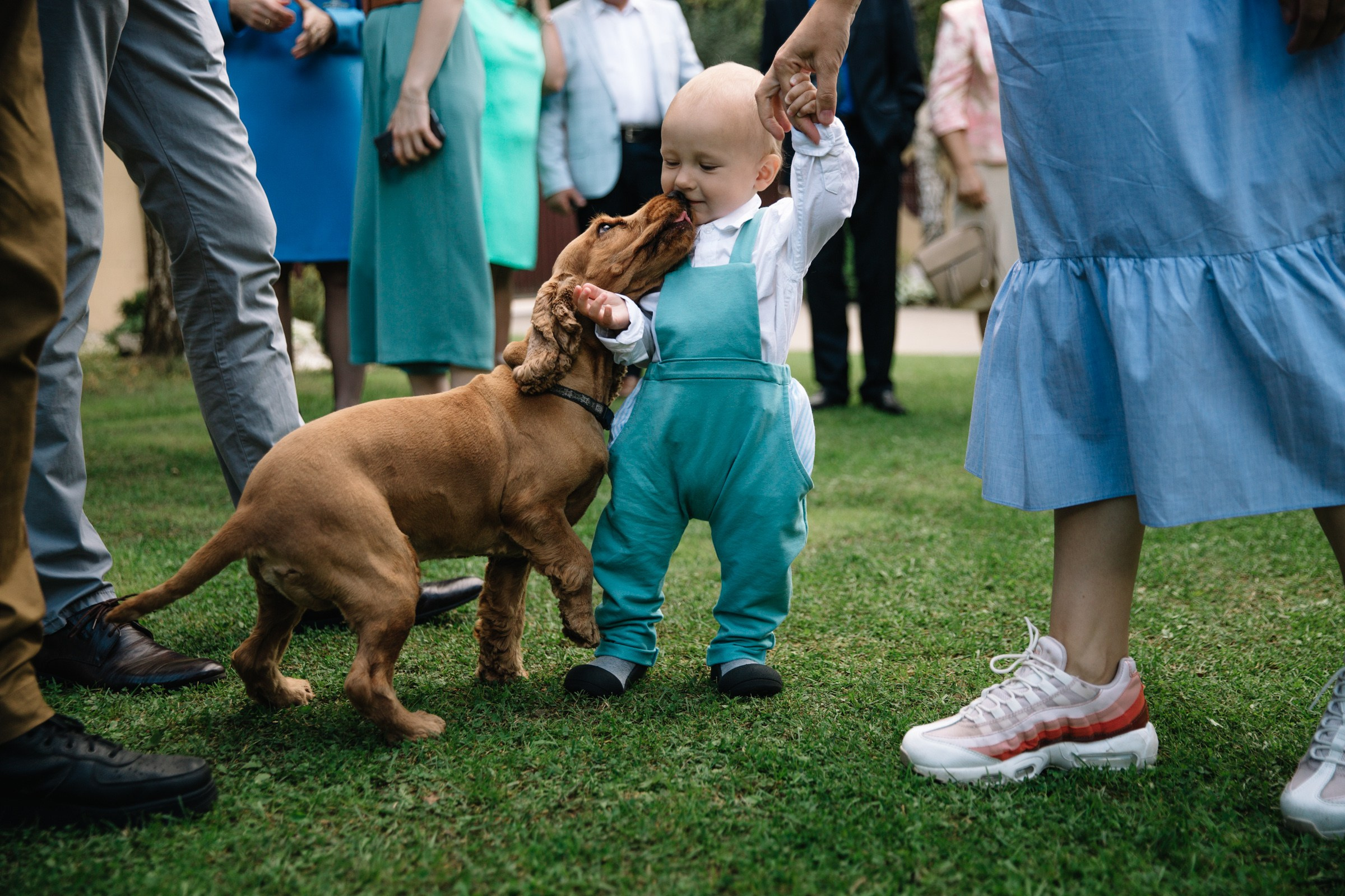 Дети на свадьбе глазами фотографа: как всё организовать и что учитывать
