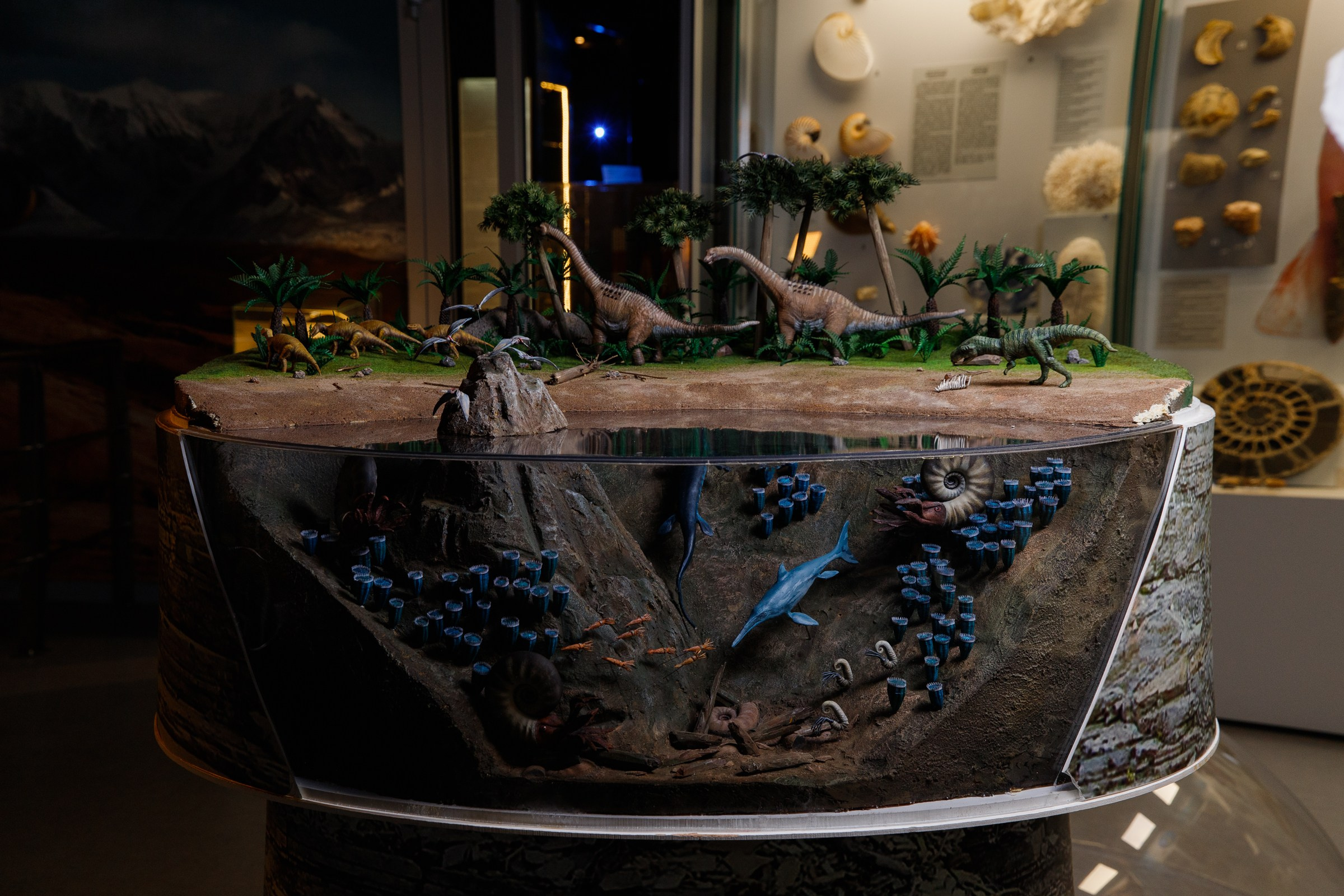 Обо мне / Контакты. Портретный фотограф Новосибирск