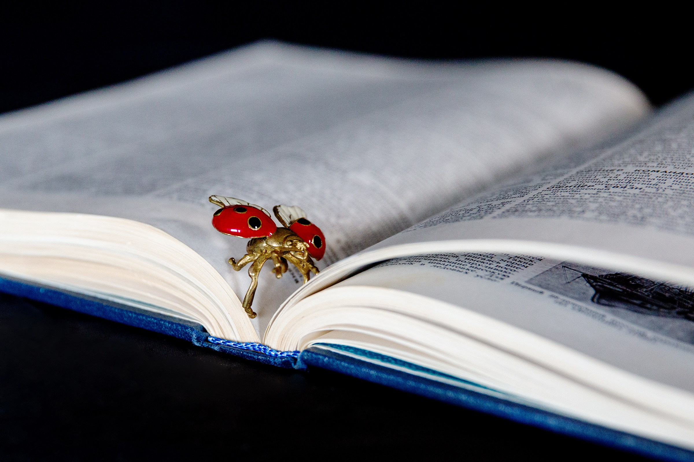 День 30 #адвенткалендарь. OLGA OLEYNIKOVA Пространство, люди, смыслы