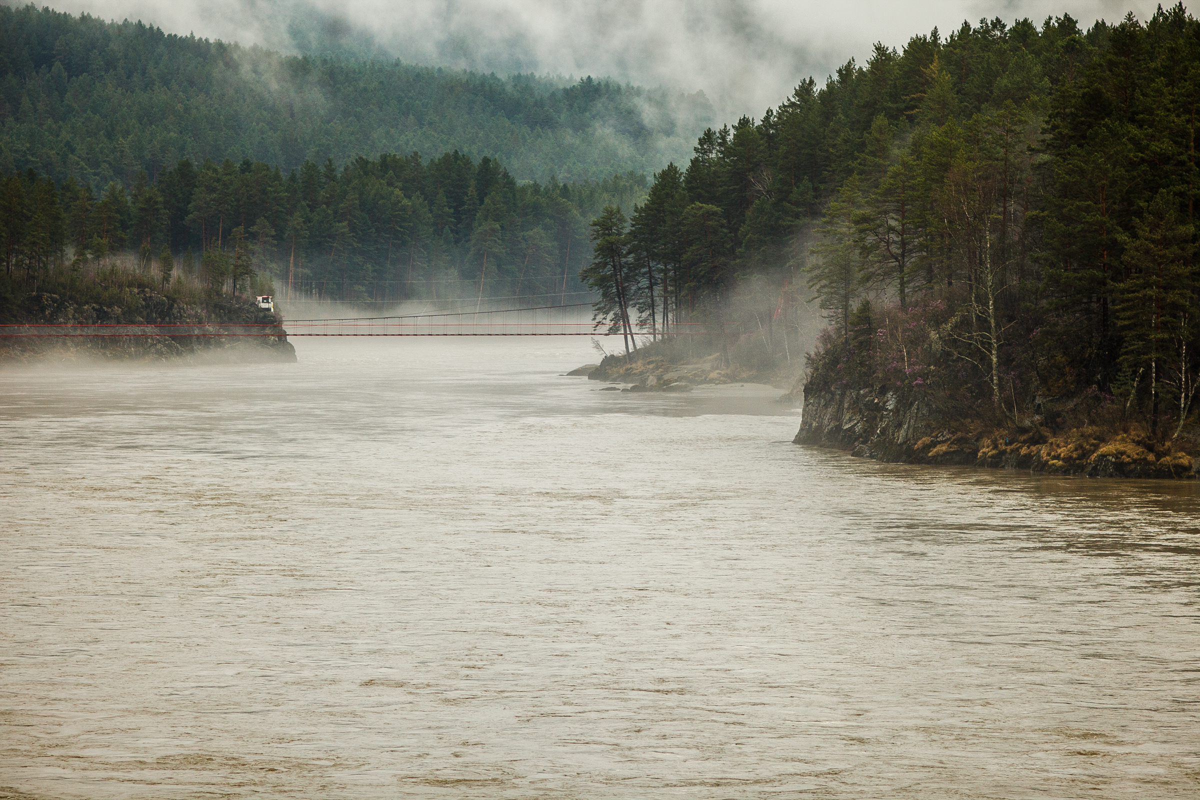 Это Алтай. Евгения Орлова