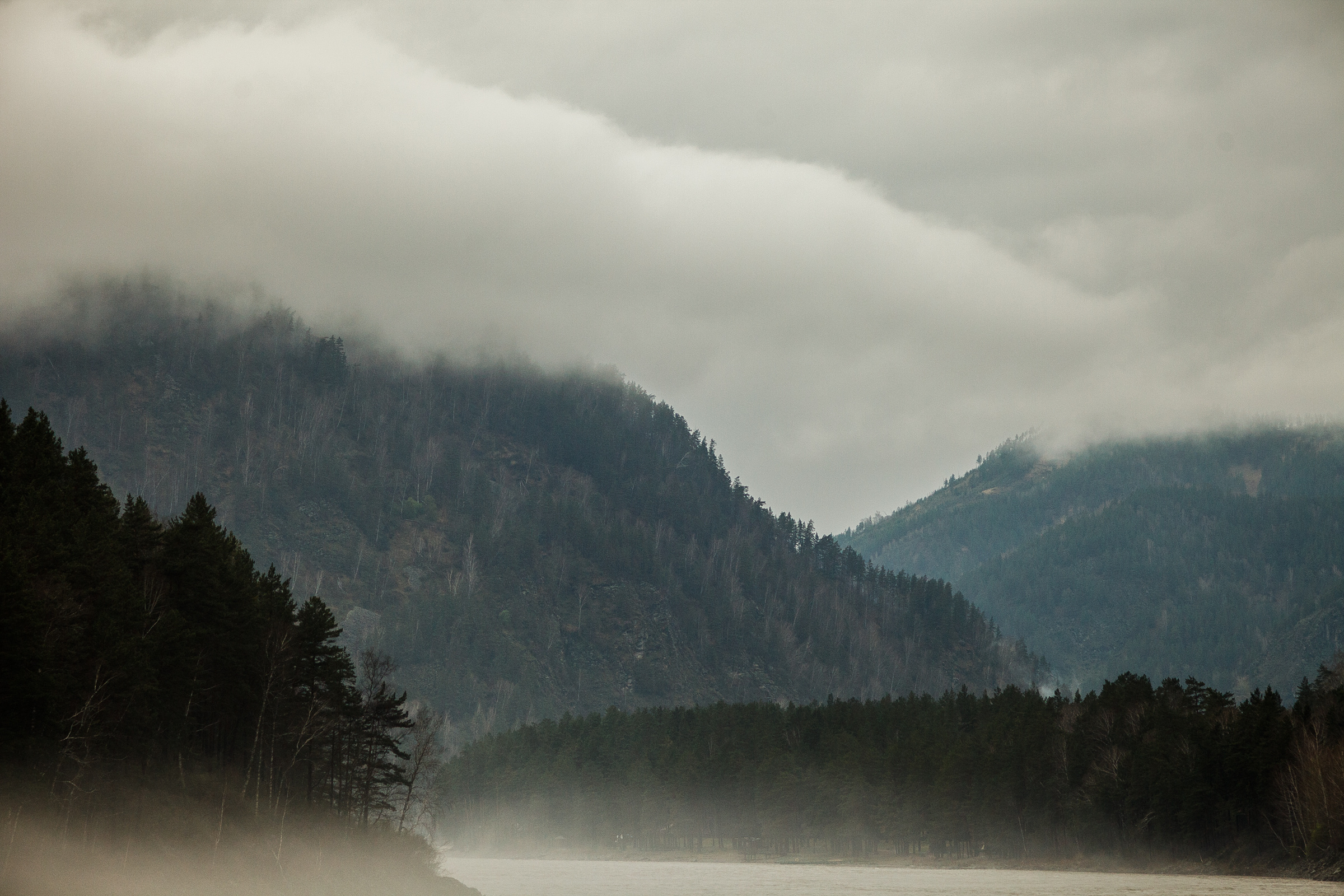 Это Алтай. Евгения Орлова