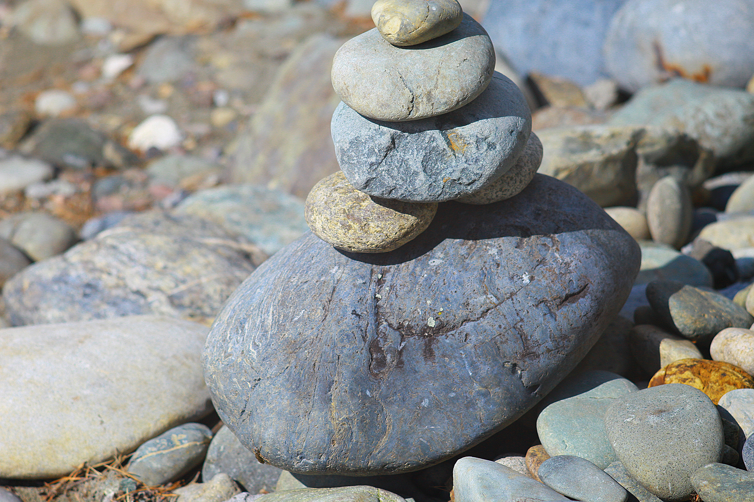 Это Алтай. Евгения Орлова