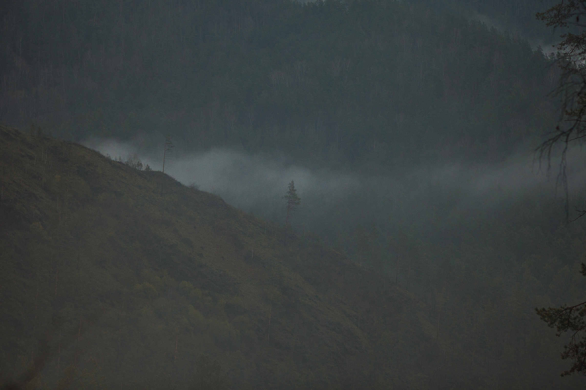 Это Алтай. Евгения Орлова