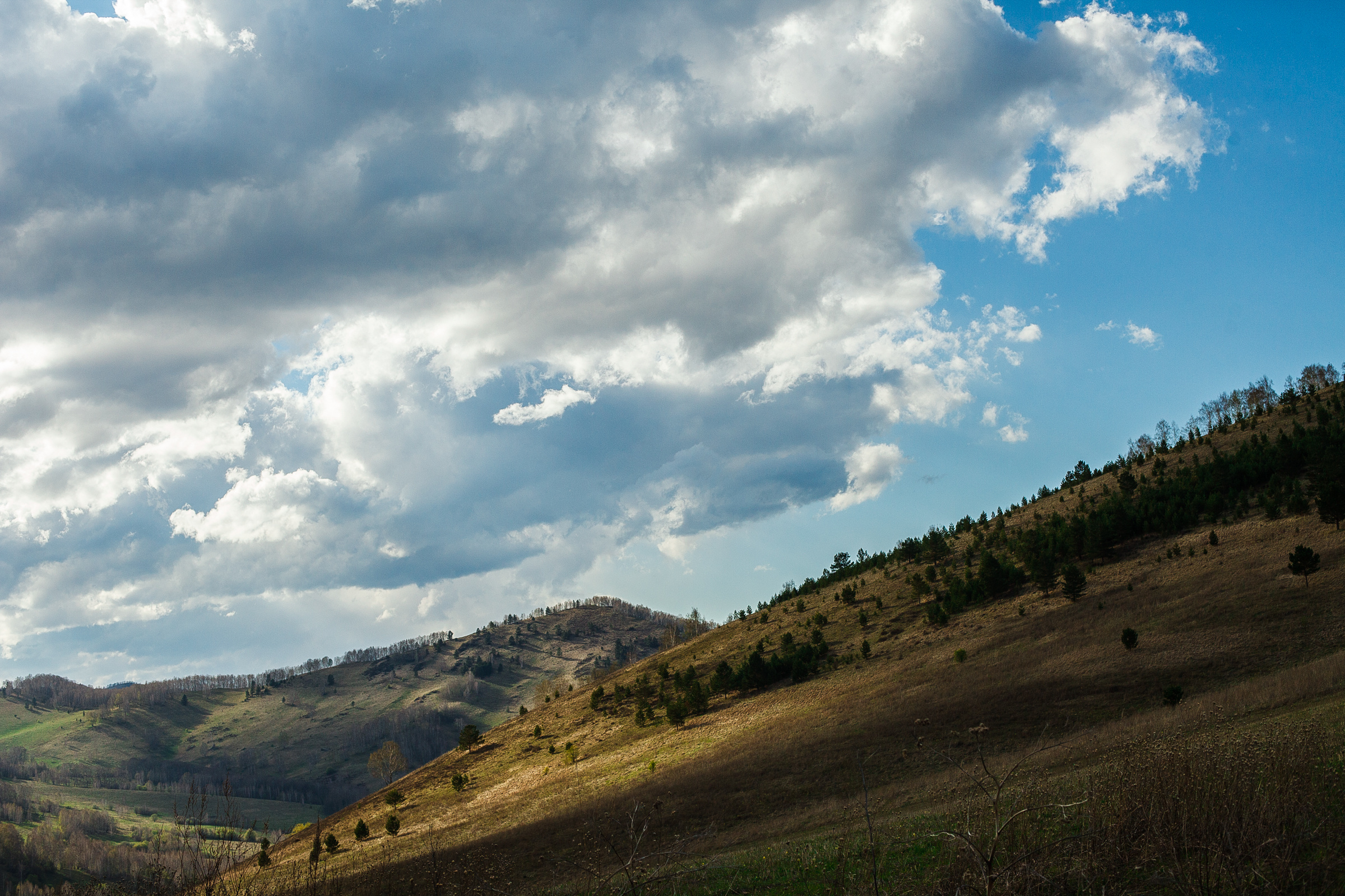 Это Алтай. Евгения Орлова