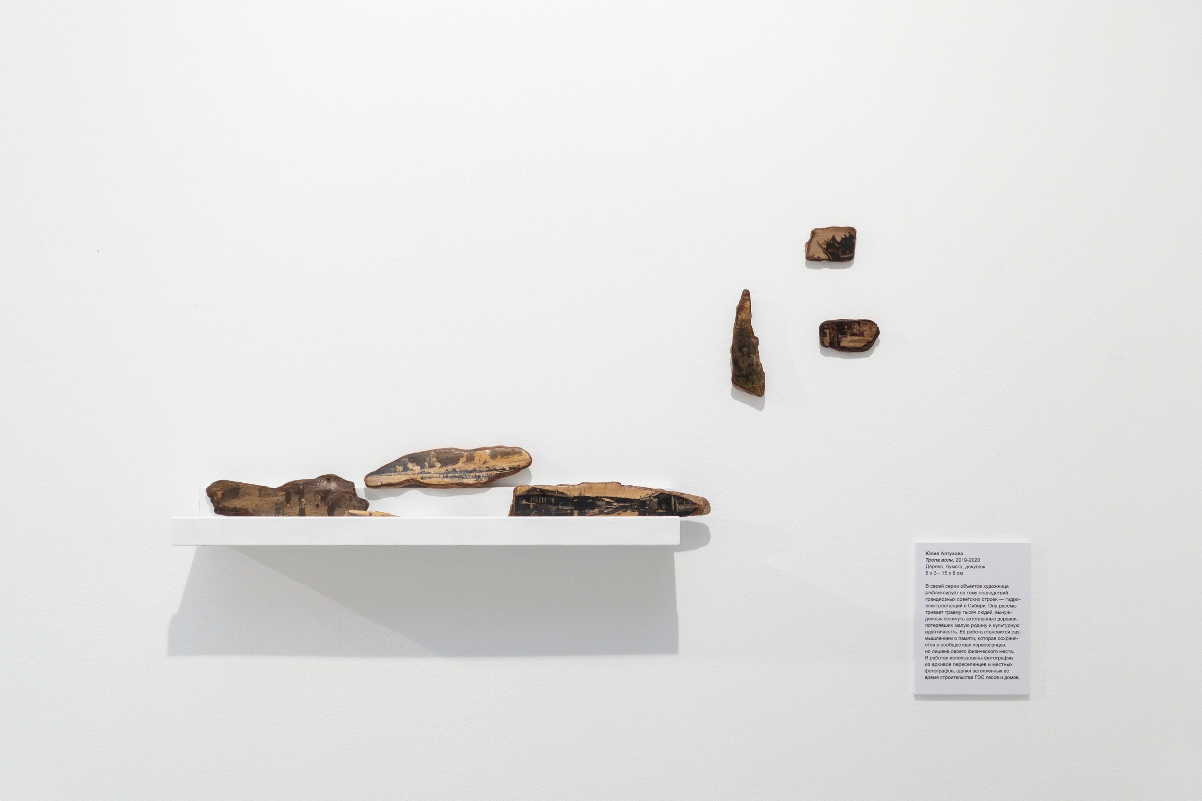 Тропа волн. Julia Altukhova, multimedia artist