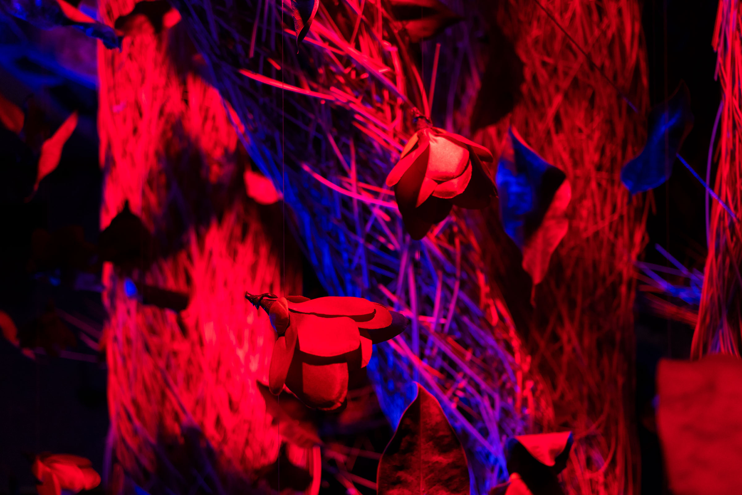 Красный человек 13 — человек новой эпохи. Артём Линейцев, фотограф