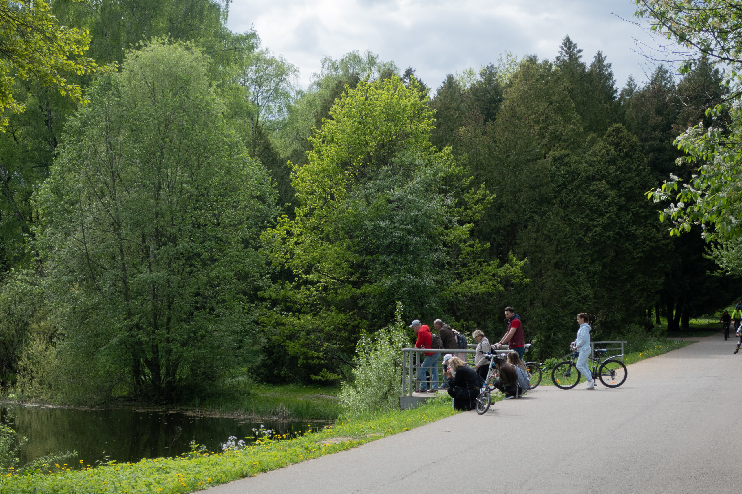 Фотопрогулка по Главному ботаническому саду им. Цицина в Москве. Проект «Фотокладовка»: блог уличной фотографии в формате street photo