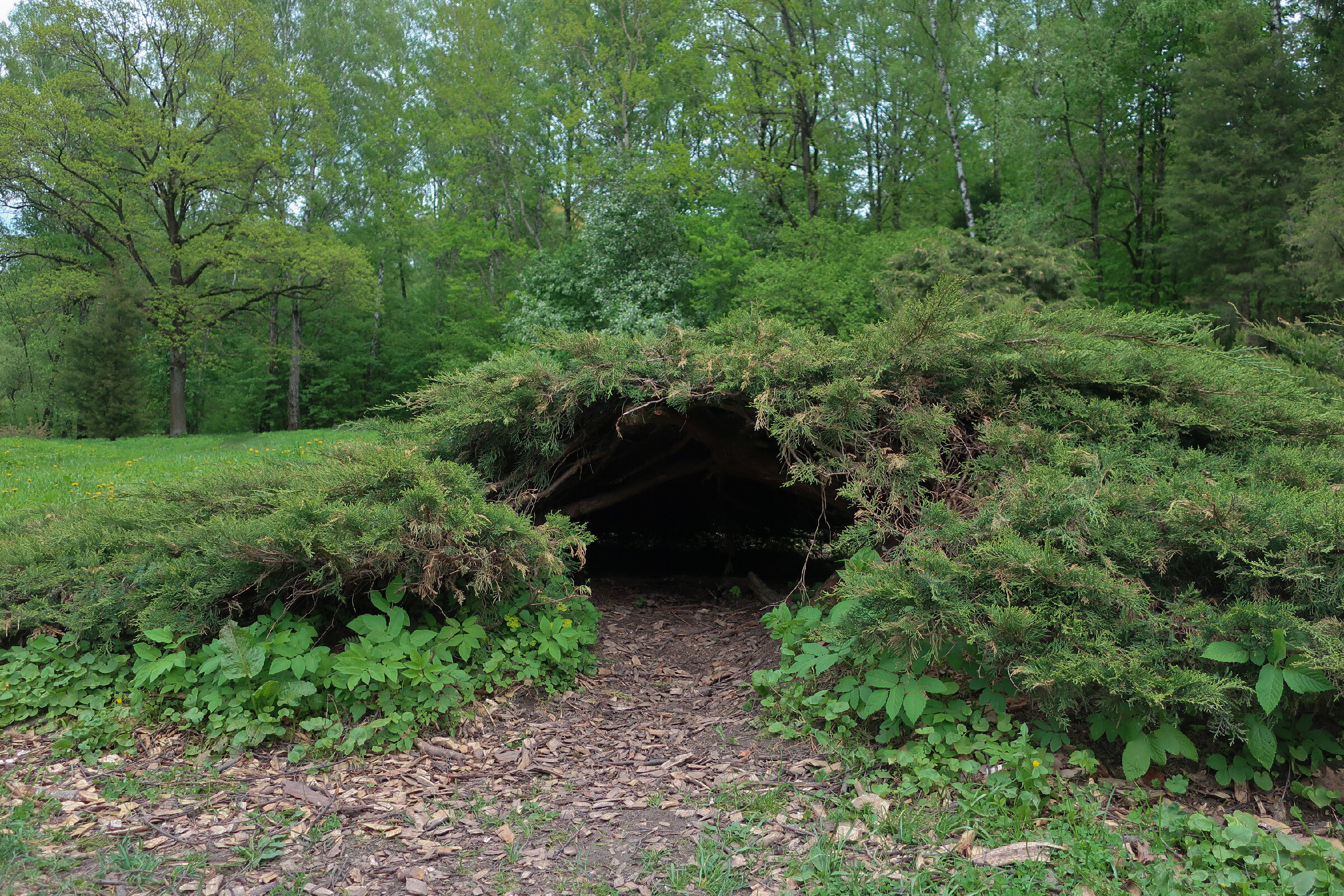 Фотопрогулка по Главному ботаническому саду им. Цицина в Москве. Проект «Фотокладовка»: блог уличной фотографии в формате street photo