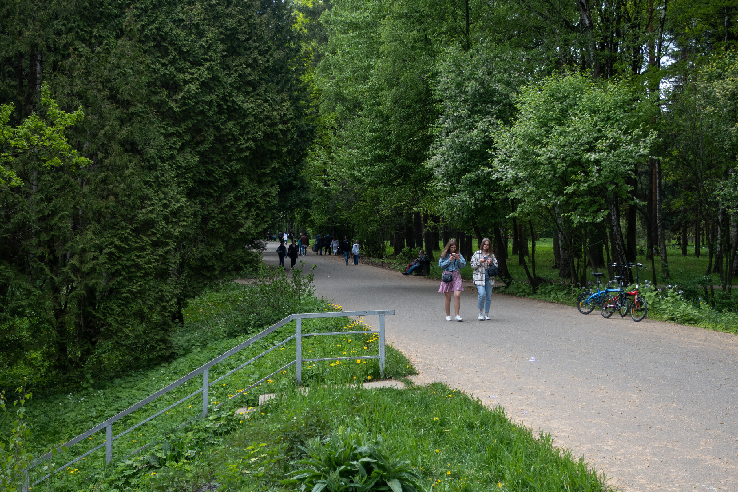 Фотопрогулка по Главному ботаническому саду им. Цицина в Москве. Проект «Фотокладовка»: блог уличной фотографии в формате street photo