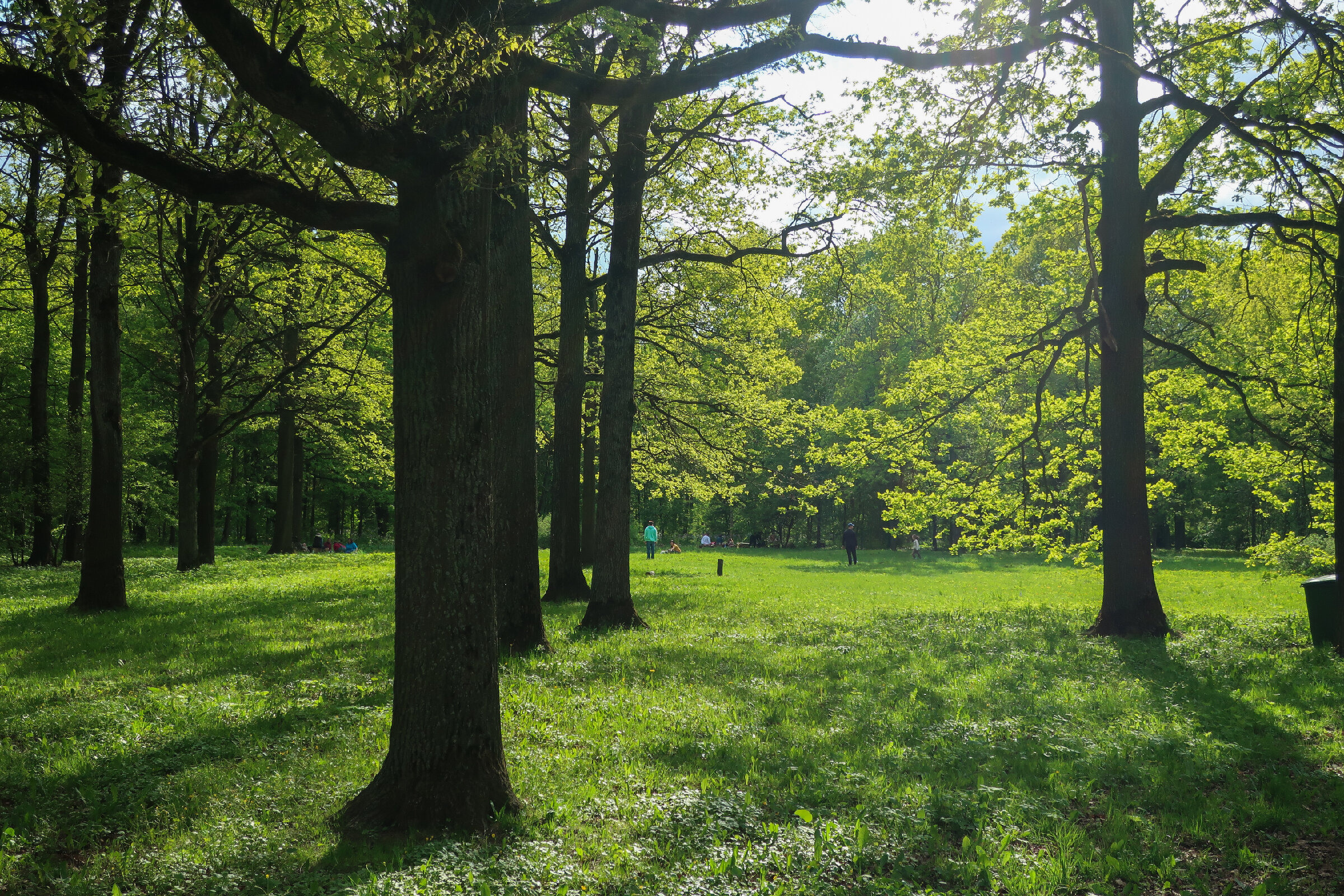 Фотопрогулка по Главному ботаническому саду им. Цицина в Москве. Проект «Фотокладовка»: блог уличной фотографии в формате street photo