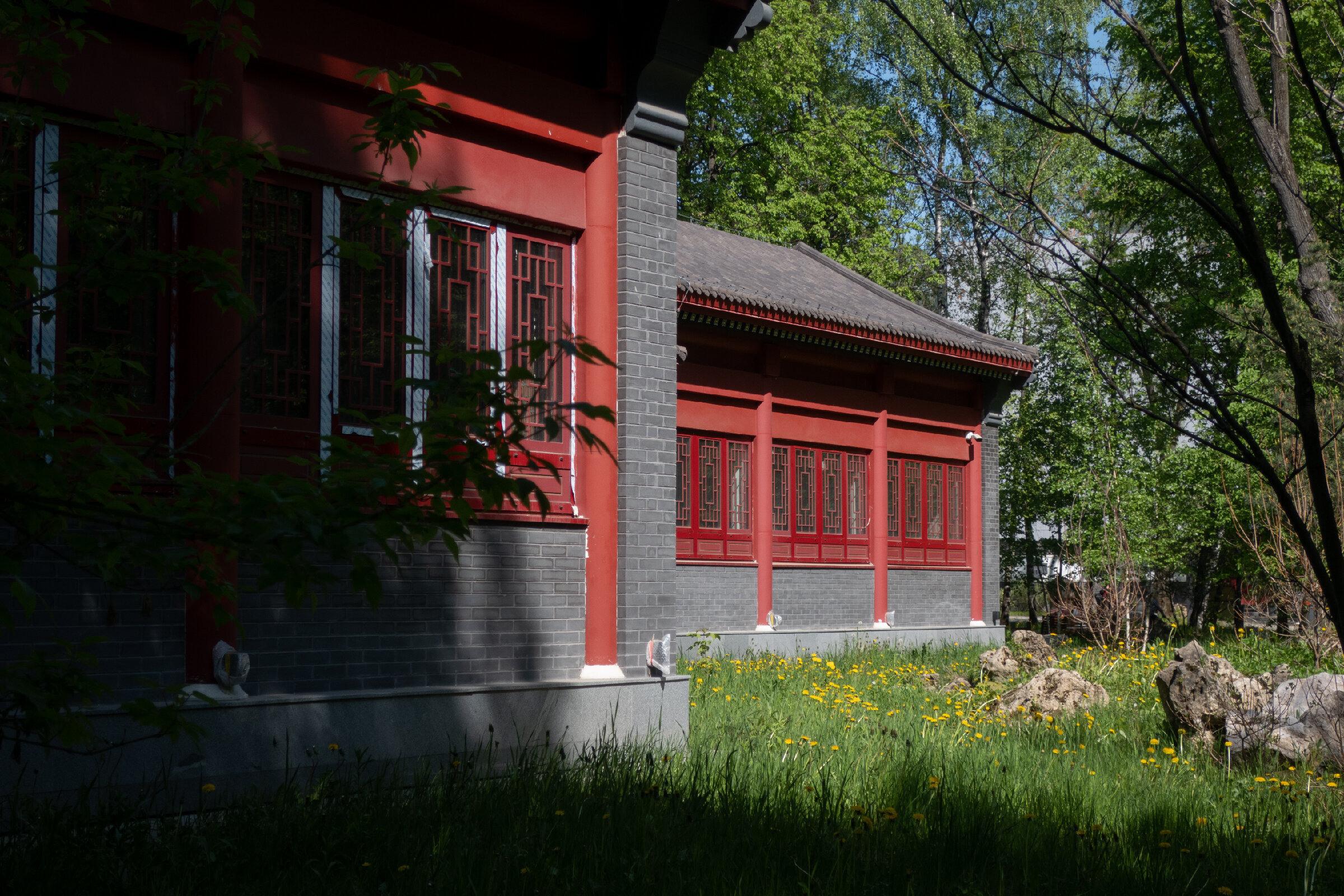 Фотопрогулка по китайскому парку «Хуамин» в Москве. Проект «Фотокладовка»: блог уличной фотографии в формате street photo