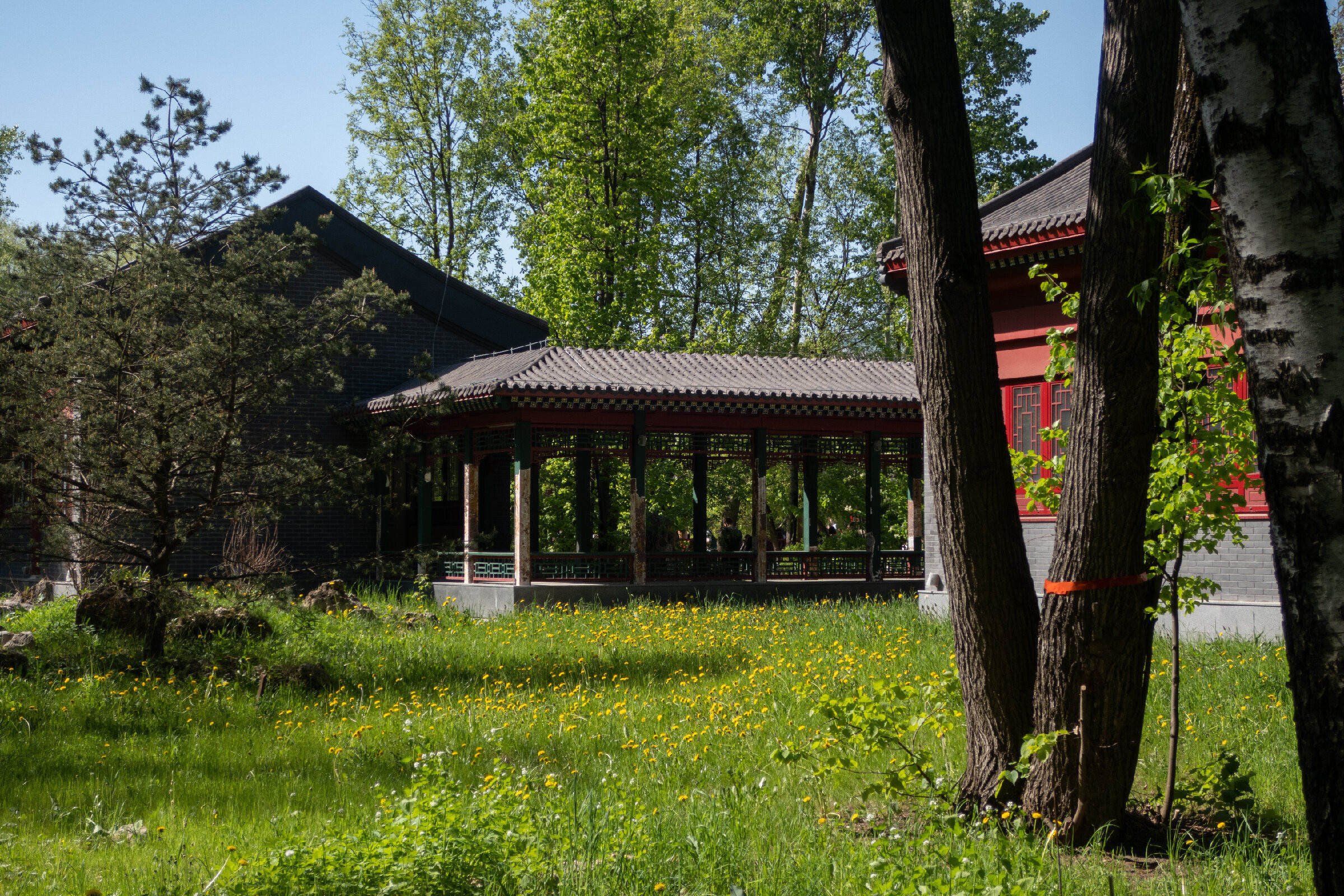 Фотопрогулка по китайскому парку «Хуамин» в Москве. Проект «Фотокладовка»: блог уличной фотографии в формате street photo