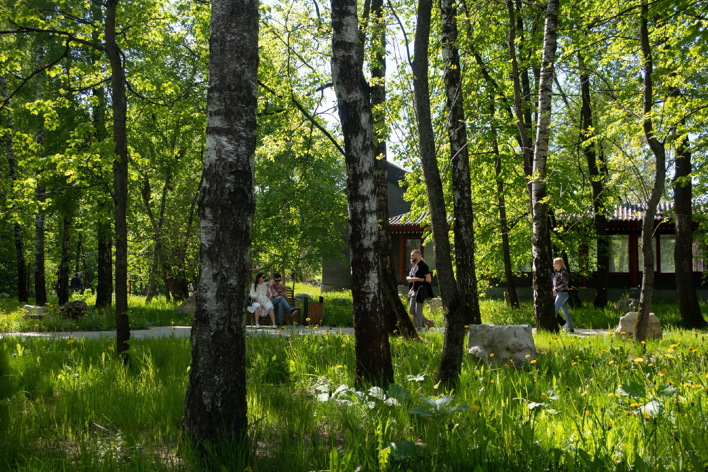 Фотопрогулка по китайскому парку «Хуамин» в Москве. Проект «Фотокладовка»: блог уличной фотографии в формате street photo