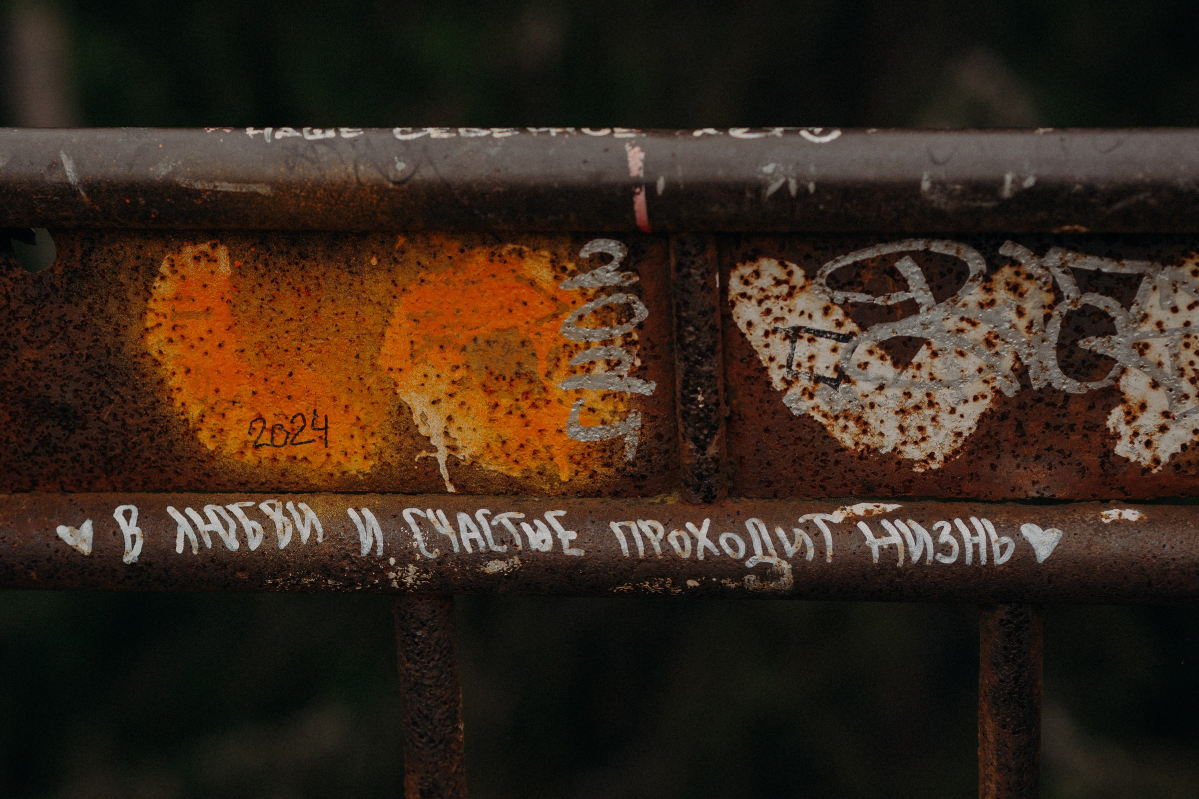 Осенняя поездка в Карелию. Свадебный фотограф в Санкт-Петербурге Венера Ахметова