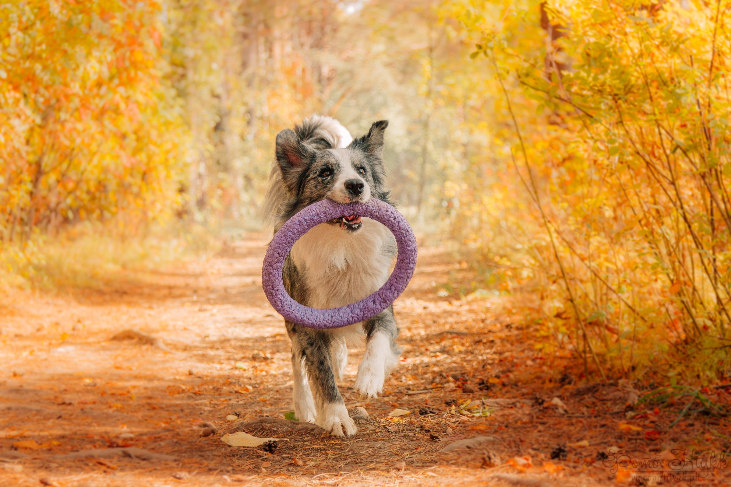 Услуги. Htykk_photo