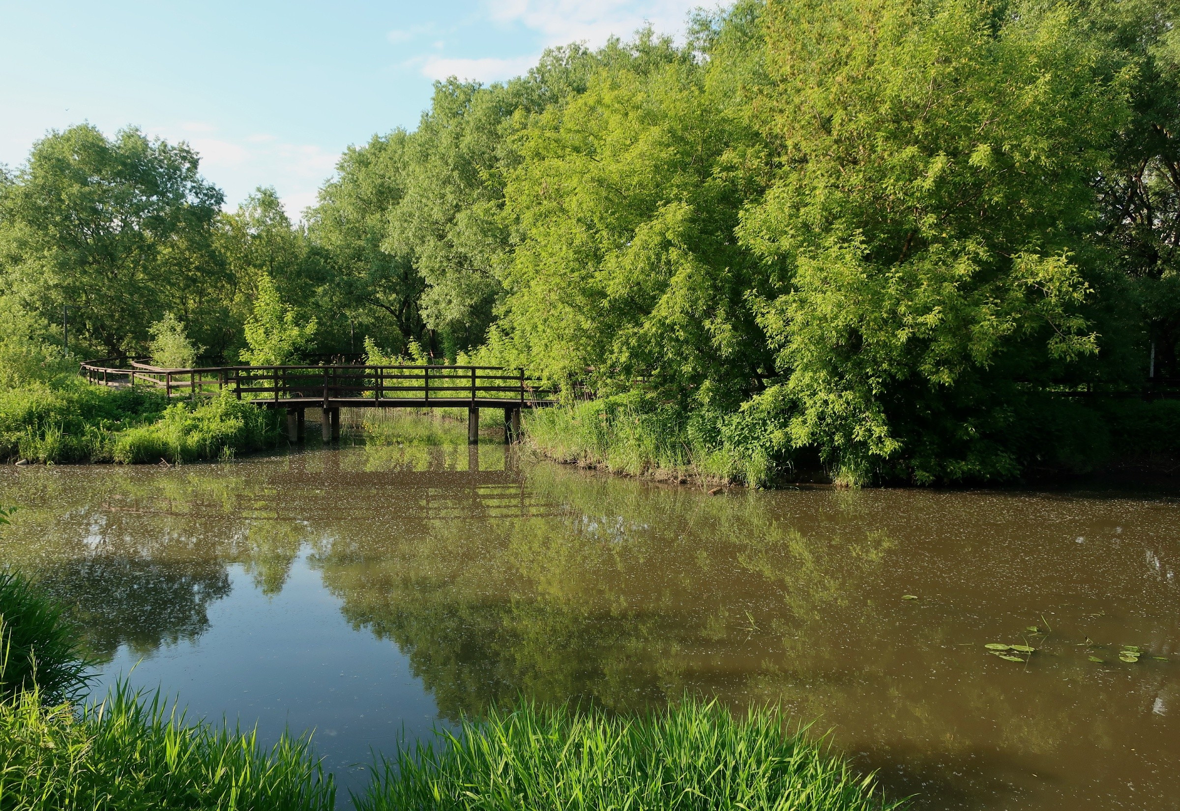 Парки Яуза, Свиблово и Свибловские пруды. Проект «Фотокладовка»: блог уличной фотографии в формате street photo