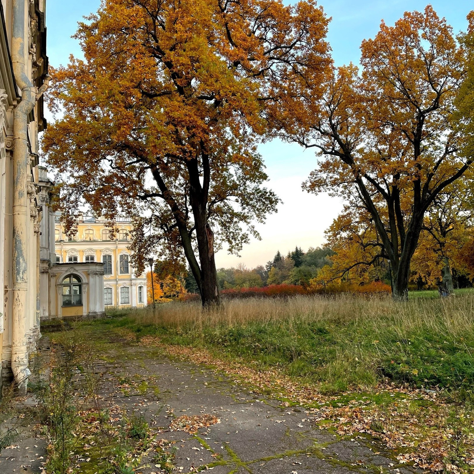 Экскурсии для дизайнеров