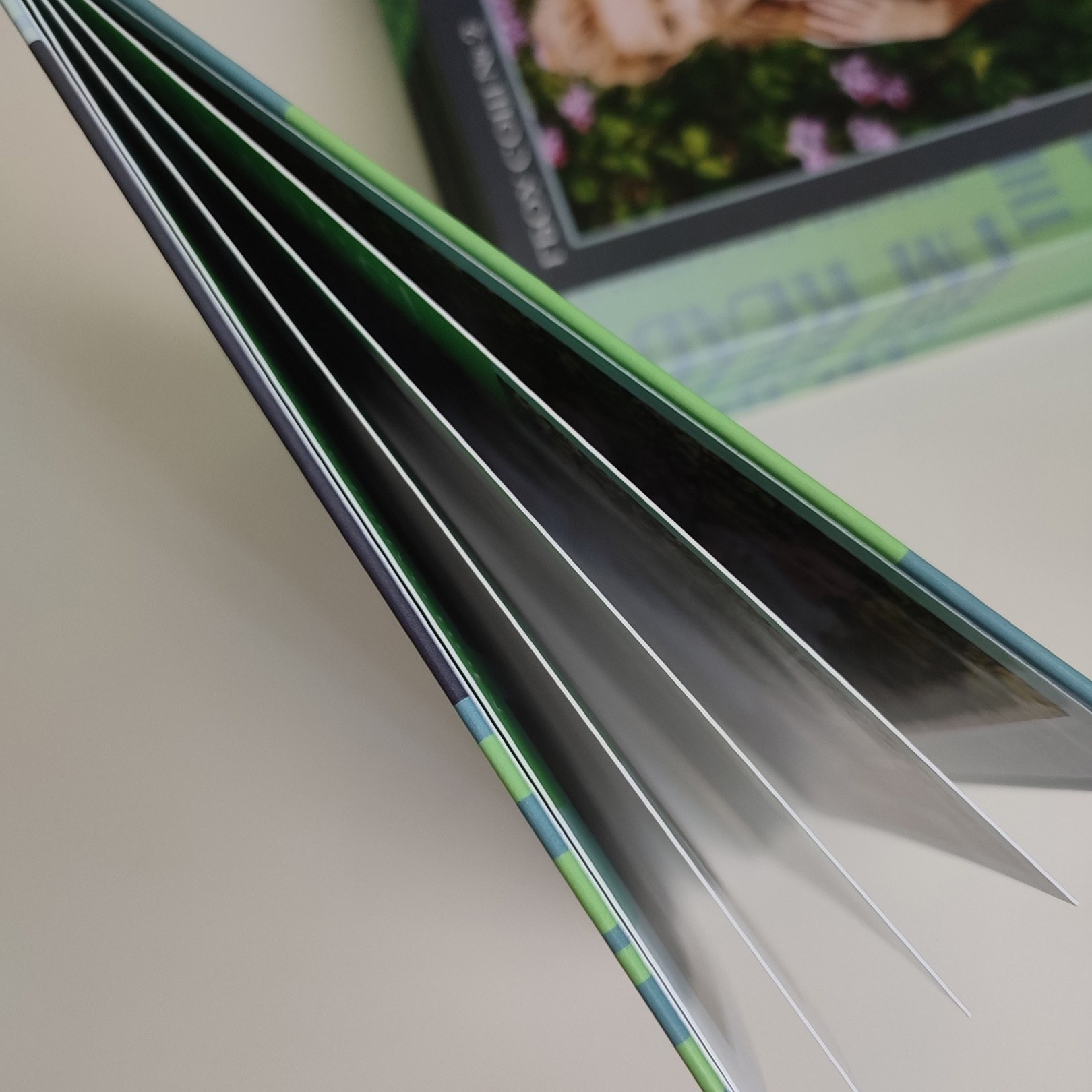 Фотокниги. Свадебный и семейный фотограф Самара и Самарская область Дарья Зарипова