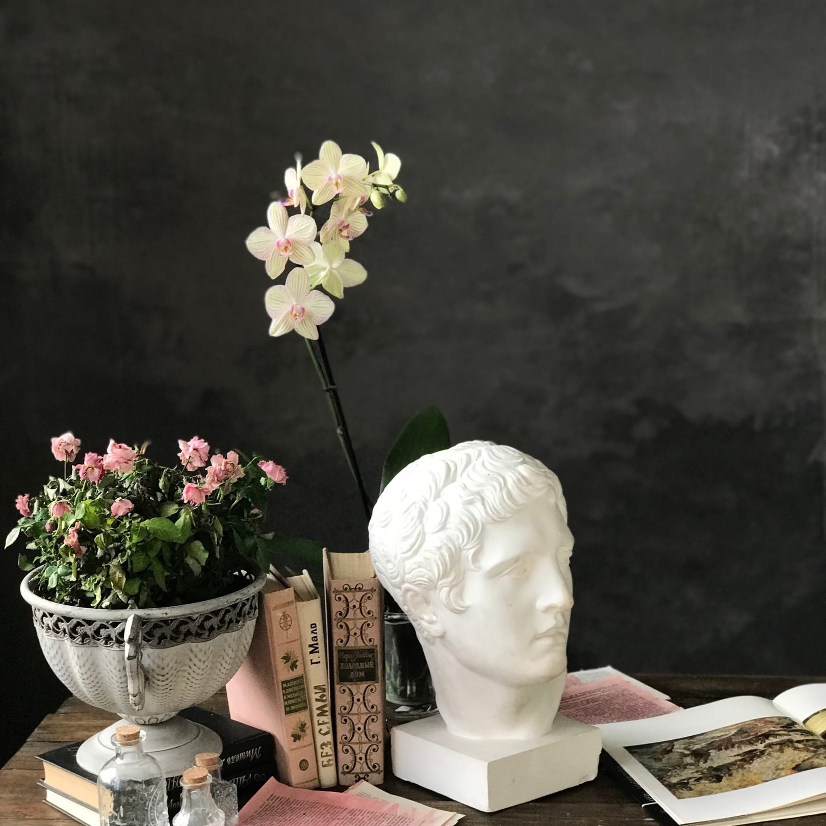 Фотостудии. Семейный, детский и свадебный фотограф