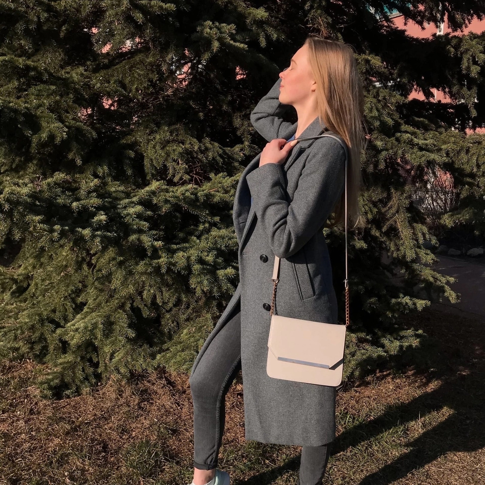 Джек Рассел терьер. Санкт-Петербург. Щенки Джек Рассел терьера