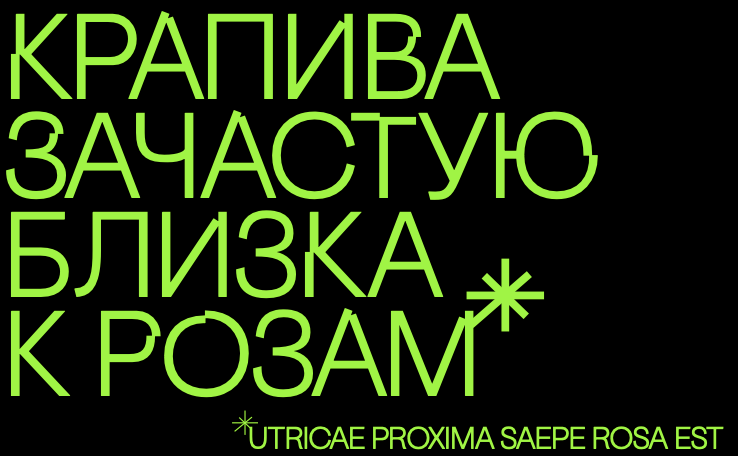 Layout. Ilia Kronchev-Ivanov