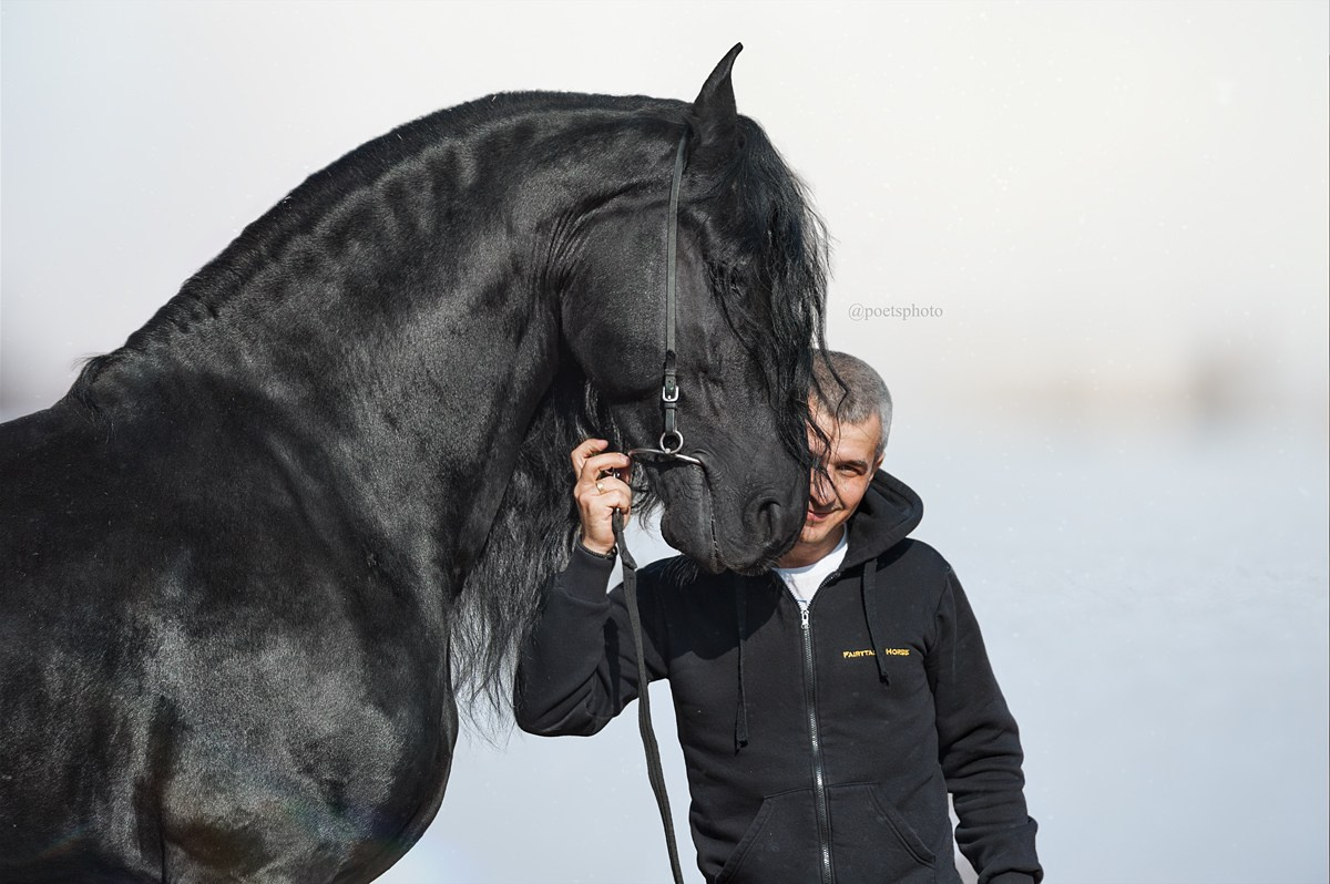 Friesian Alliance. Фризы Росиии