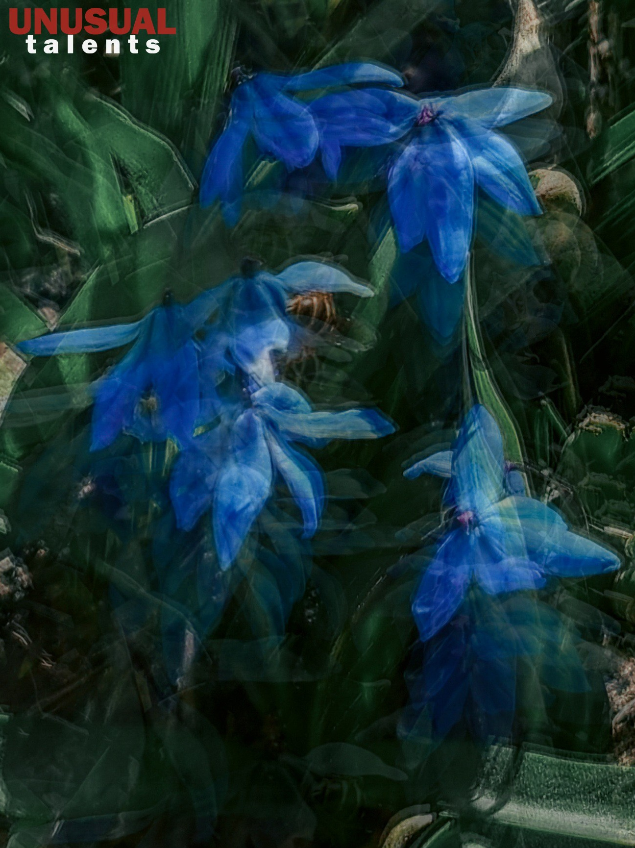 Svetlana Yakovleva. UNUSUAL TALENT magazine