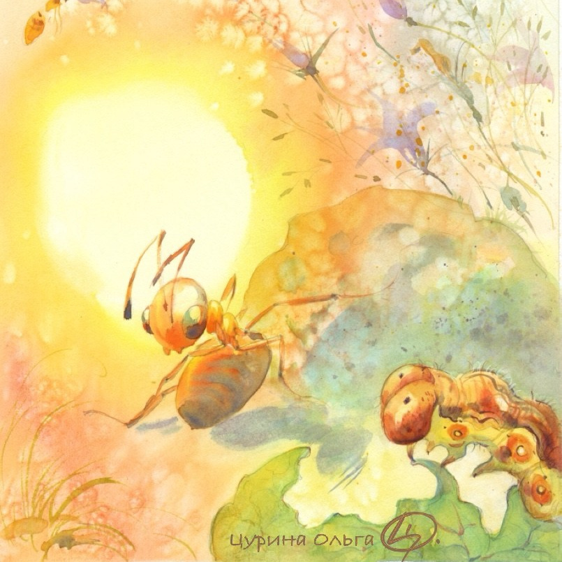 Ольга Цурина ☀️Художник, иллюстратор книжной графики, анималист ☀️