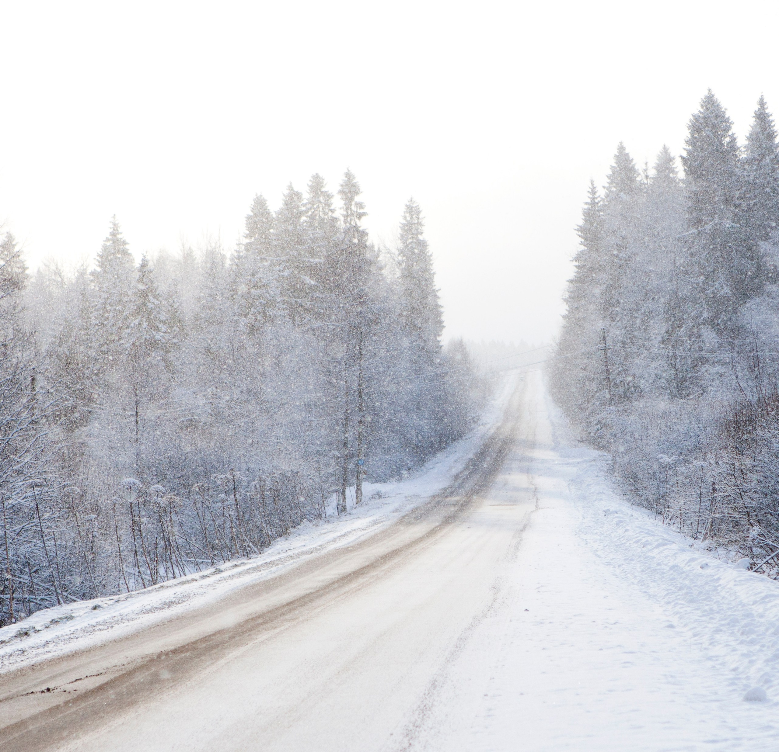 выставка 2025, выставка фотографии, выставка 2026, выставка зимней фотографии, выставка москва, фотовыставка