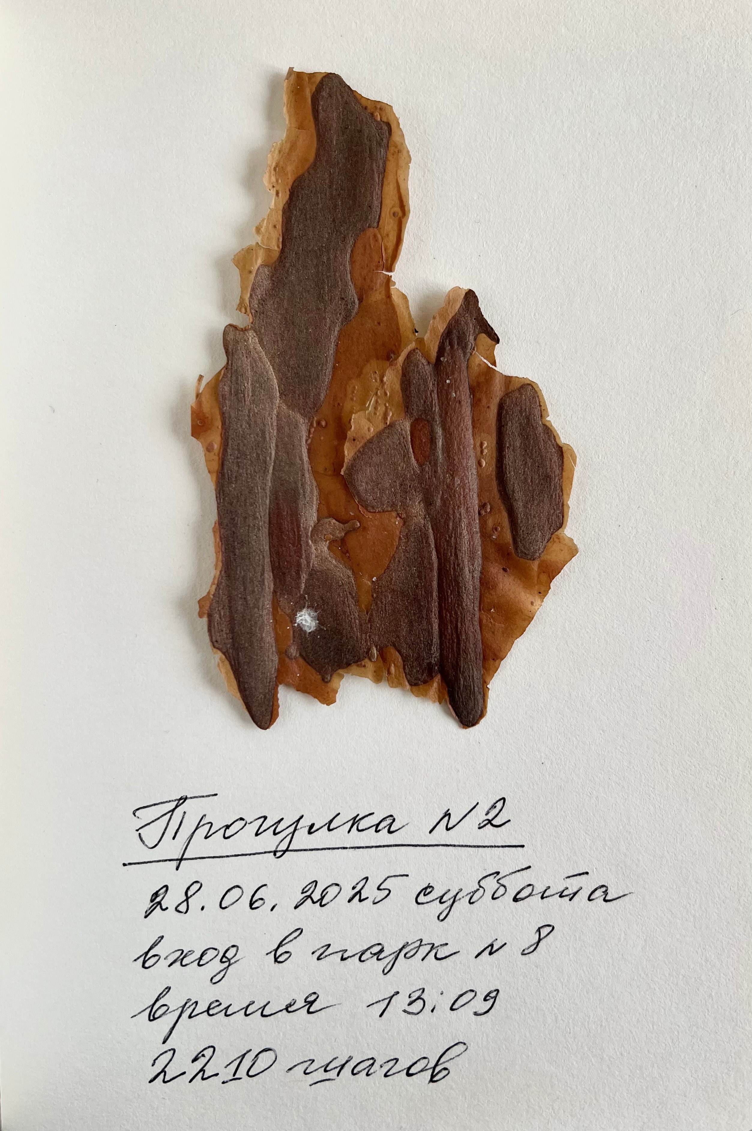 Анна Плотникова — Выйти из тени или личная археология