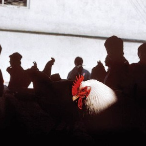 Школа Цифрового Контента Эдуарда Ленькова