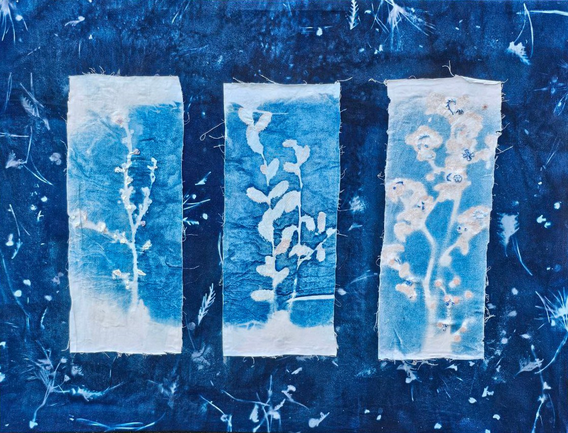 ЦИАНОТИПИЯ. CONTEMPORARY ARTIST OLGA ANDRIYASH